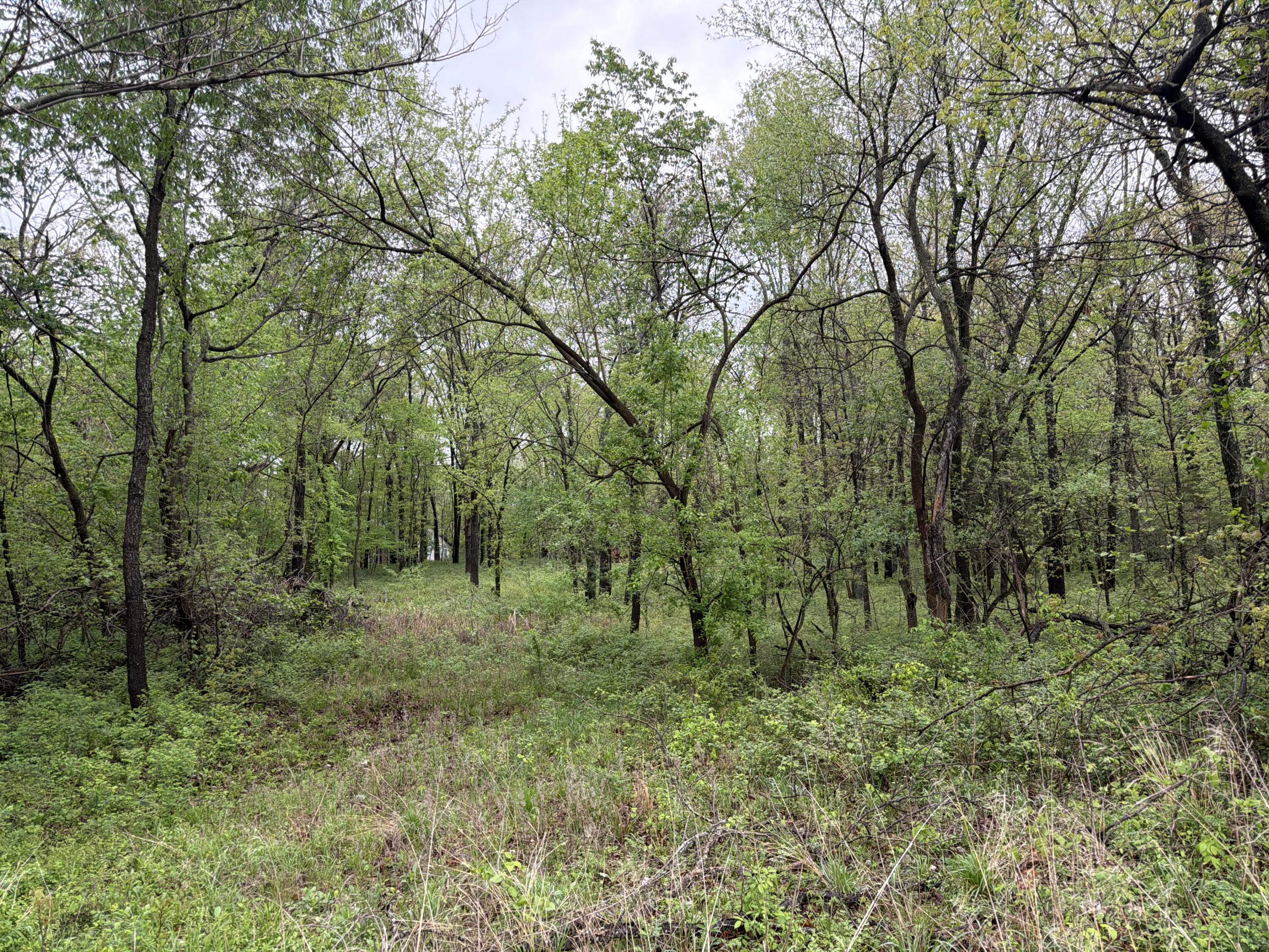 Land for sale – Tract 1 E Ivy Road  Carthage, MO