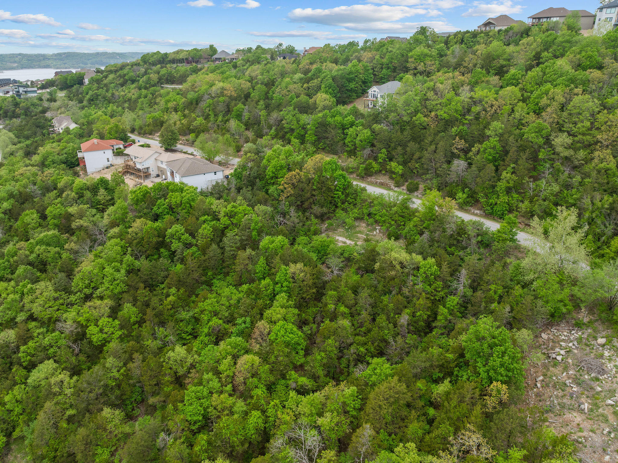 Photo 6 - Land for sale – 300  Samaras Way  Hollister, MO