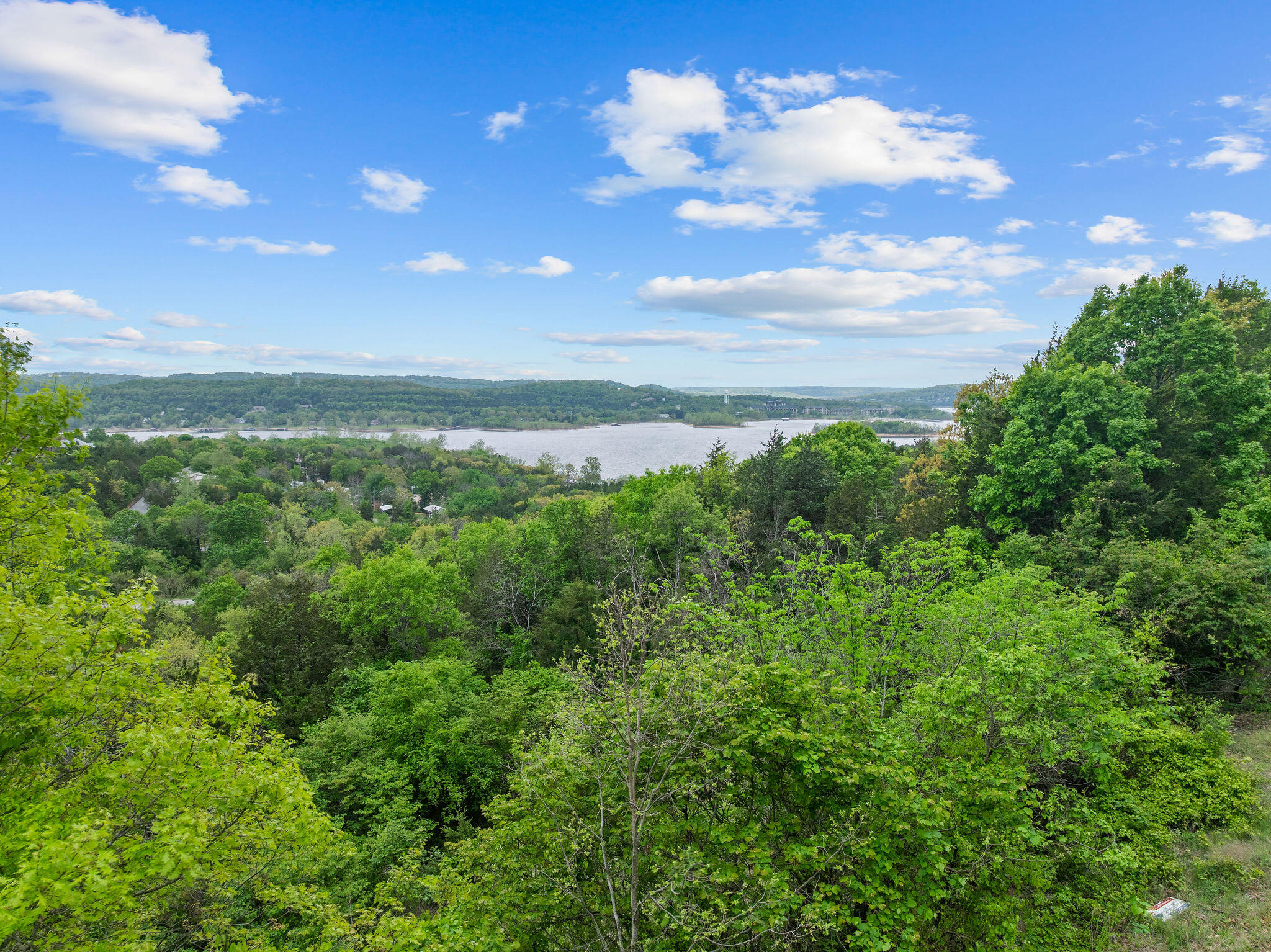 Photo 10 - Land for sale – 300  Samaras Way  Hollister, MO