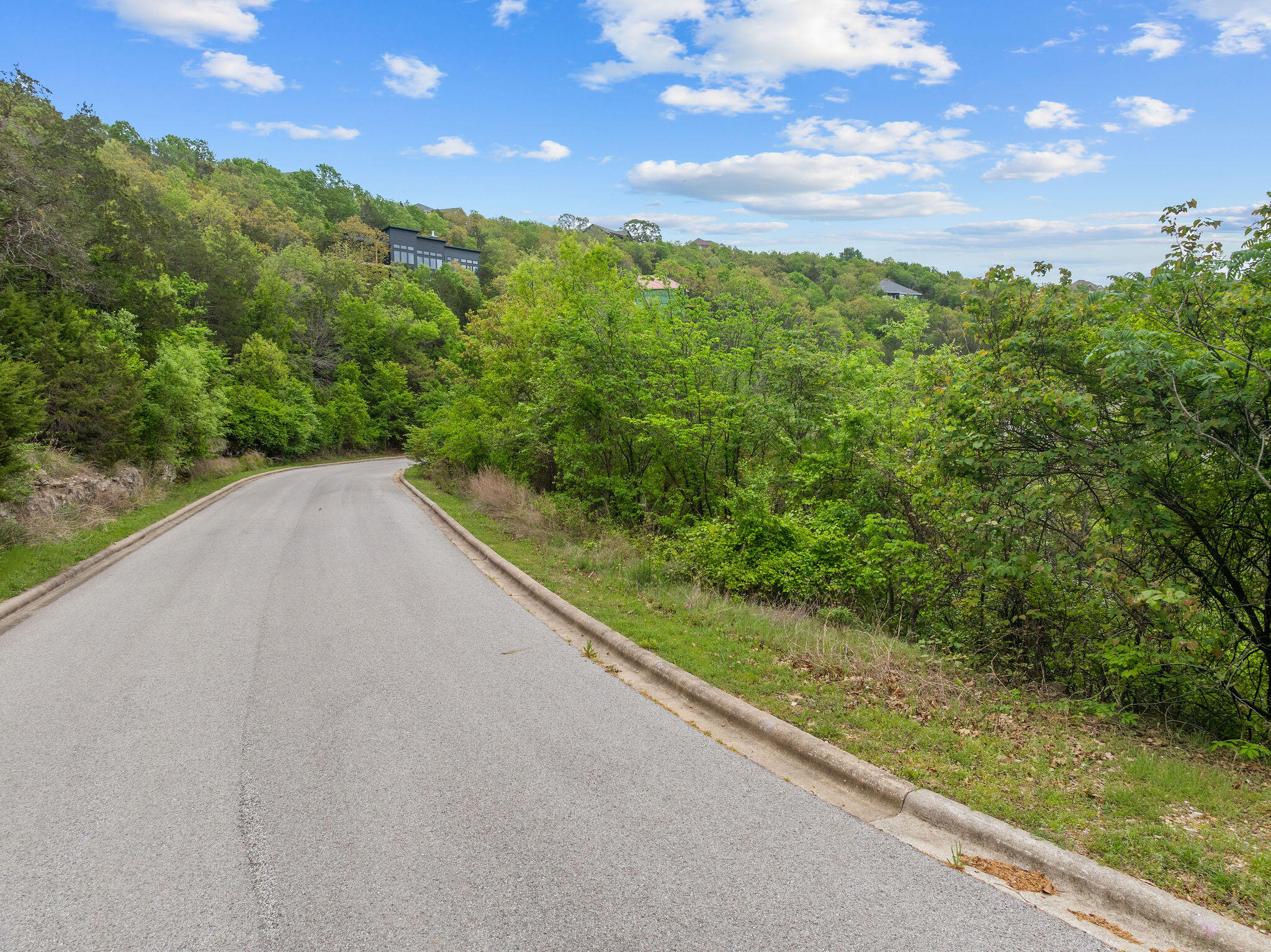 Photo 9 - Land for sale – 300  Samaras Way  Hollister, MO