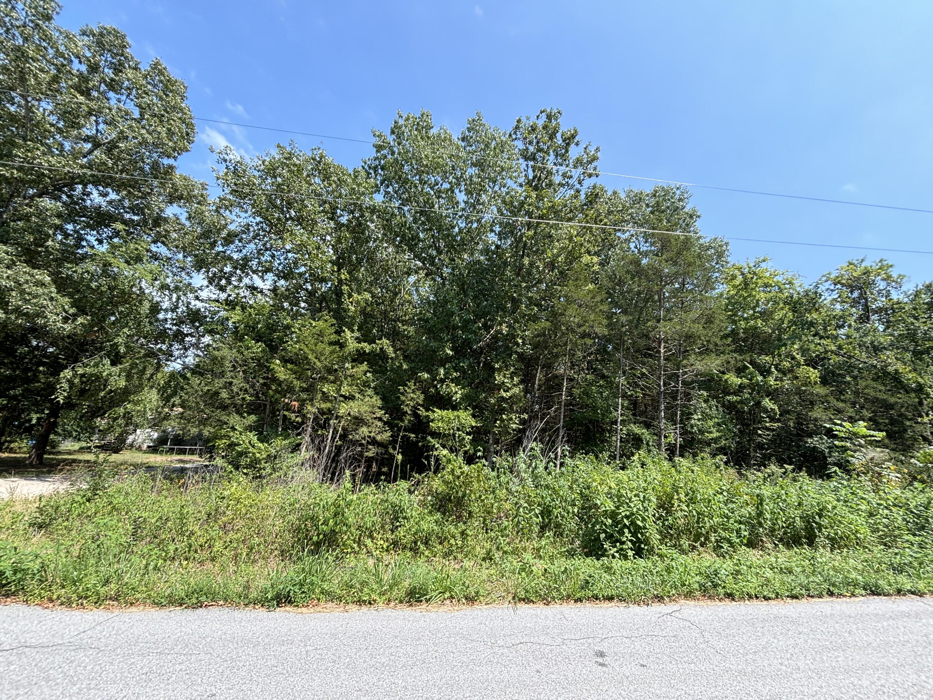 Land for sale – 000  Berry Lane  Shell Knob, MO