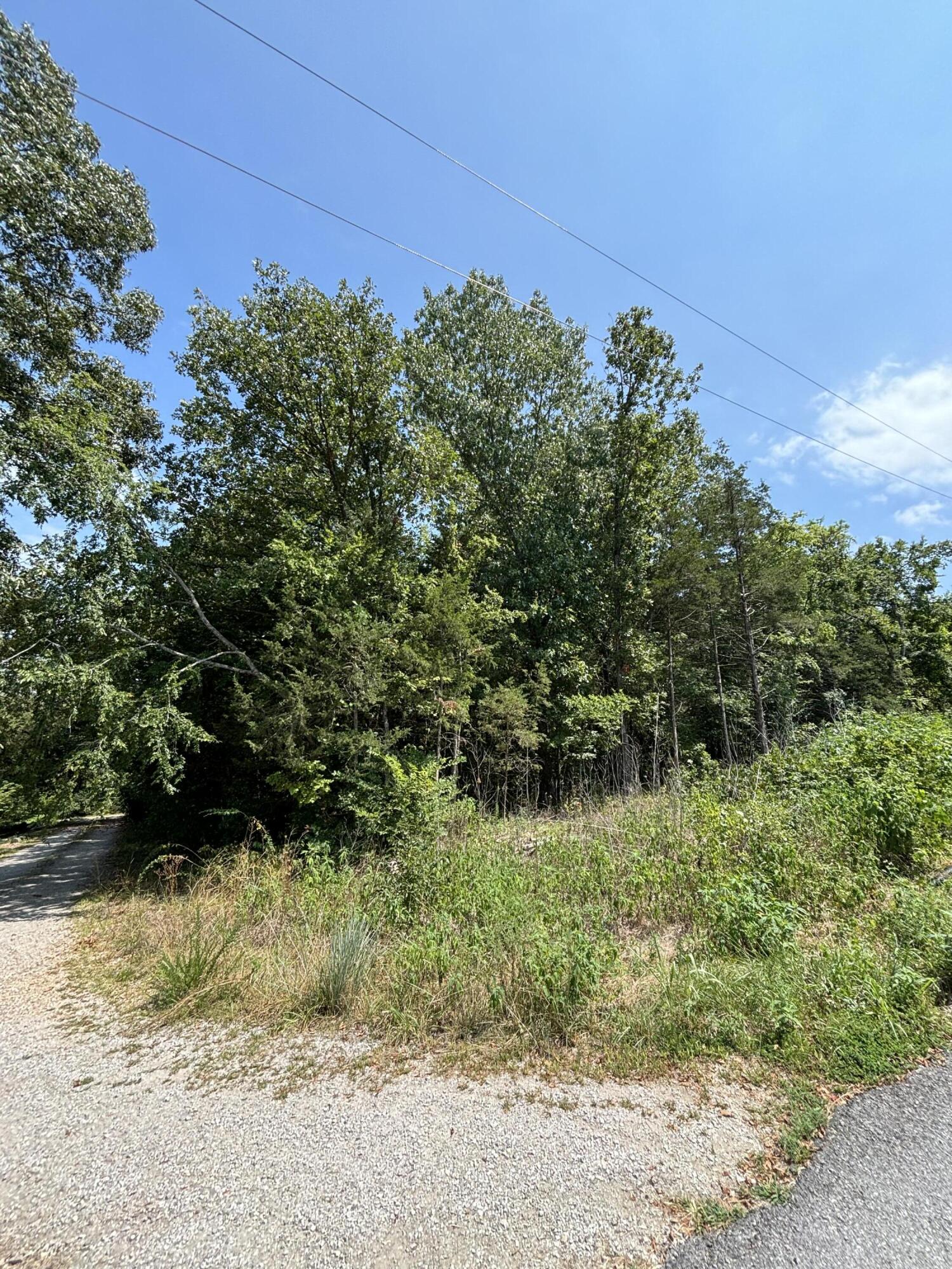 Photo 2 - Land for sale – 000  Berry Lane  Shell Knob, MO