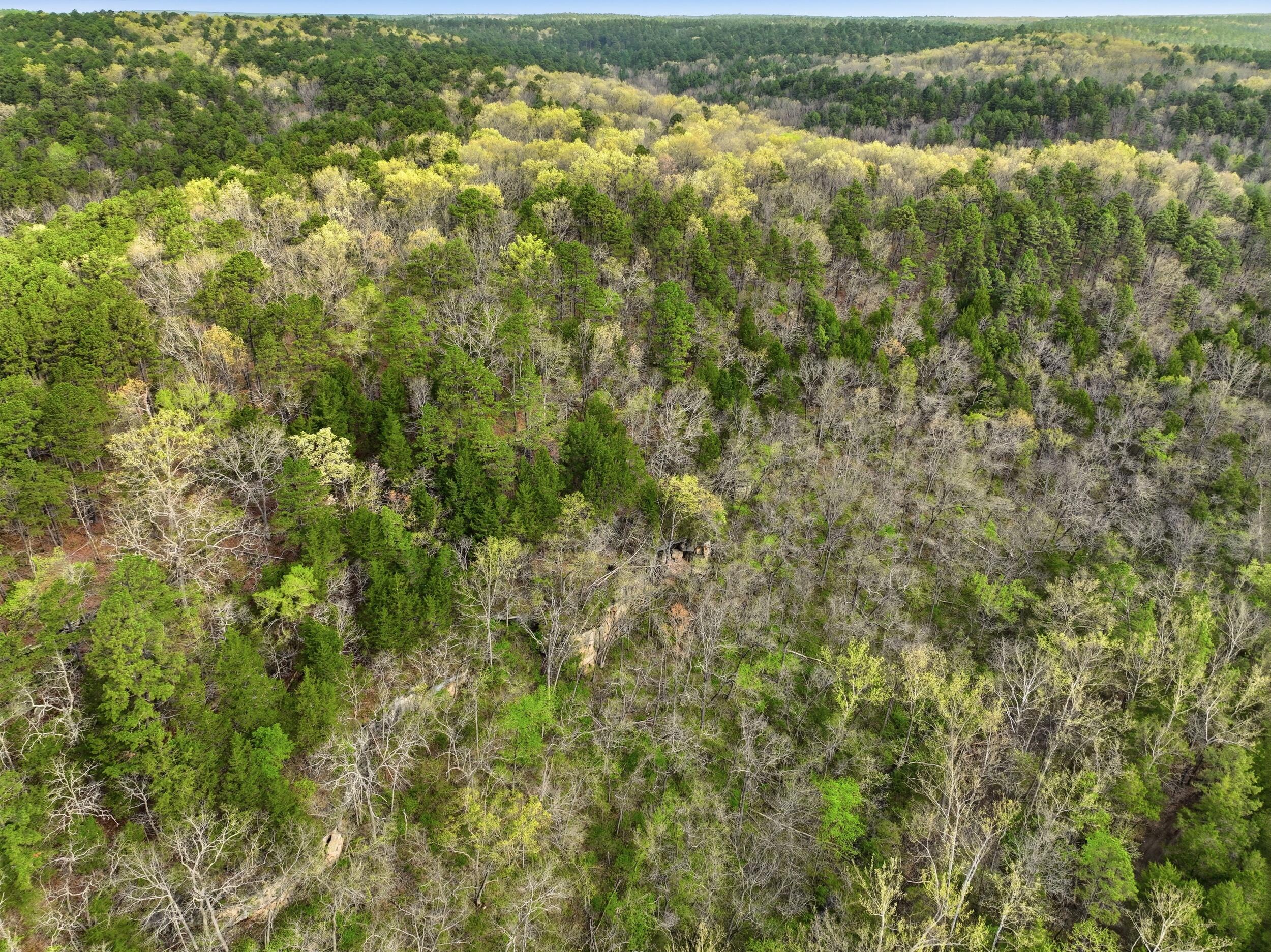 Photo 46 - Land for sale – 000  Highway 32   Licking, MO