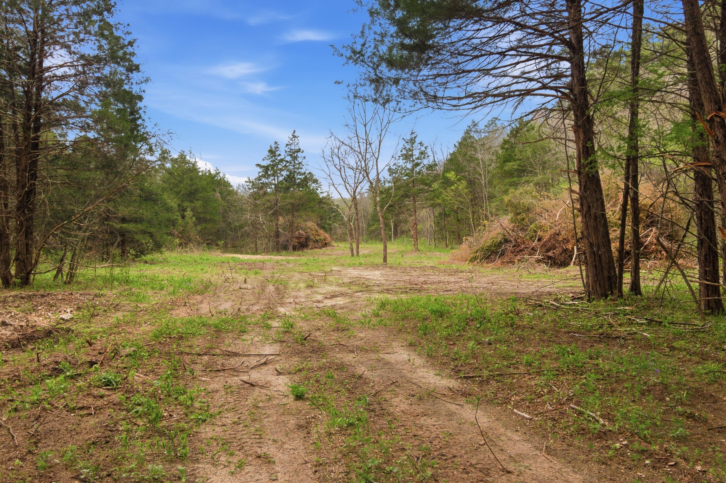 Photo 87 - Land for sale – 000  Highway 32   Licking, MO