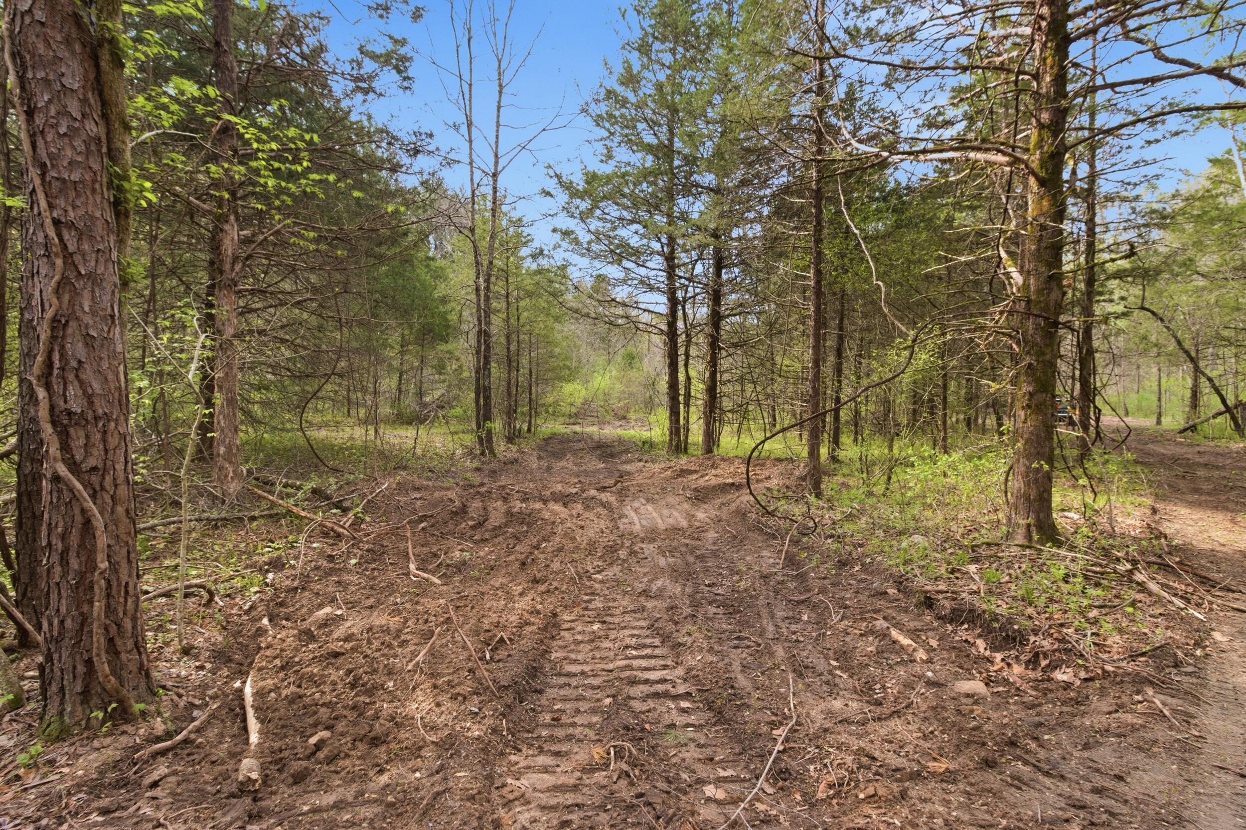 Photo 69 - Land for sale – 000  Highway 32   Licking, MO
