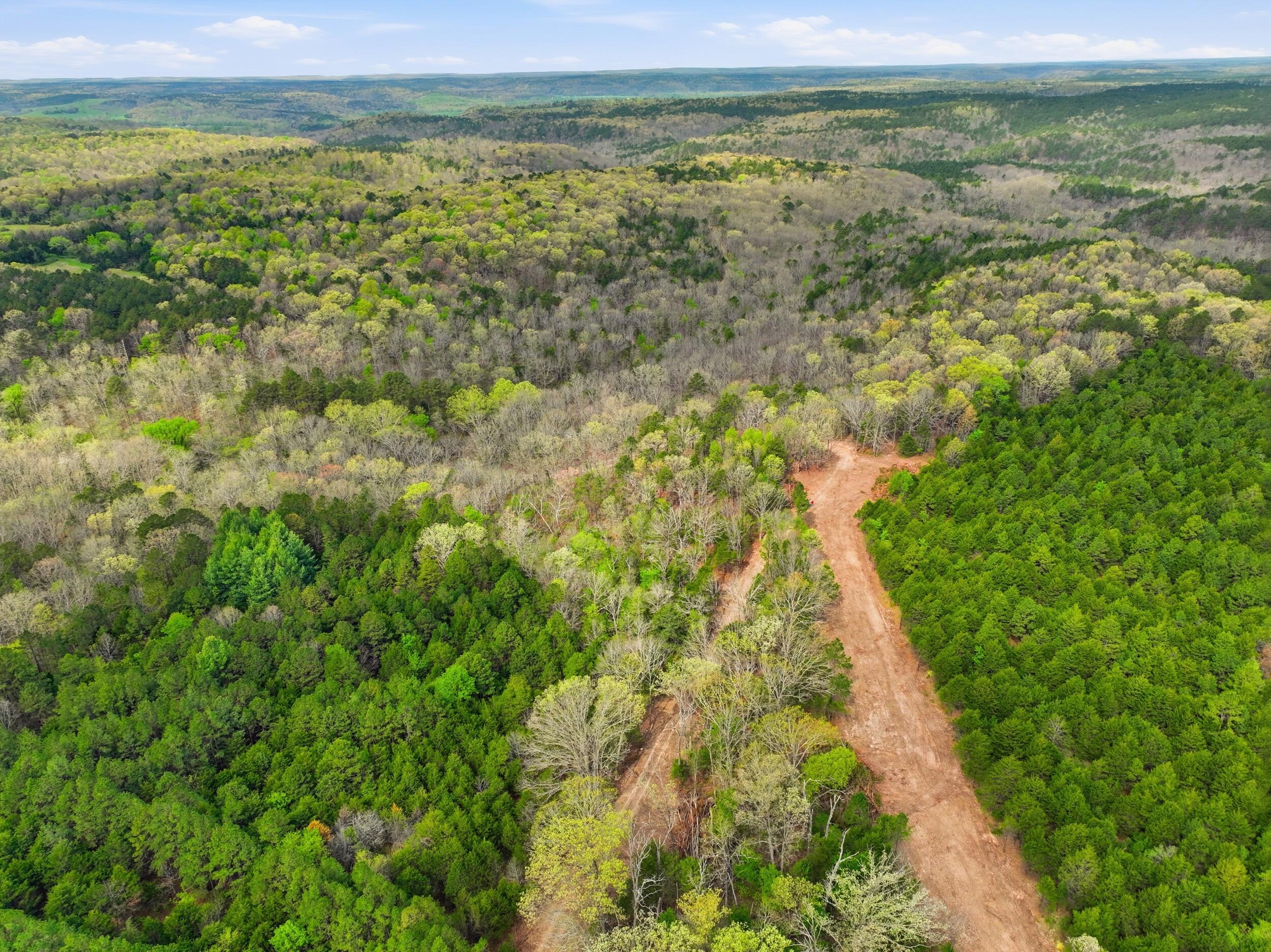Photo 30 - Land for sale – 000  Highway 32   Licking, MO