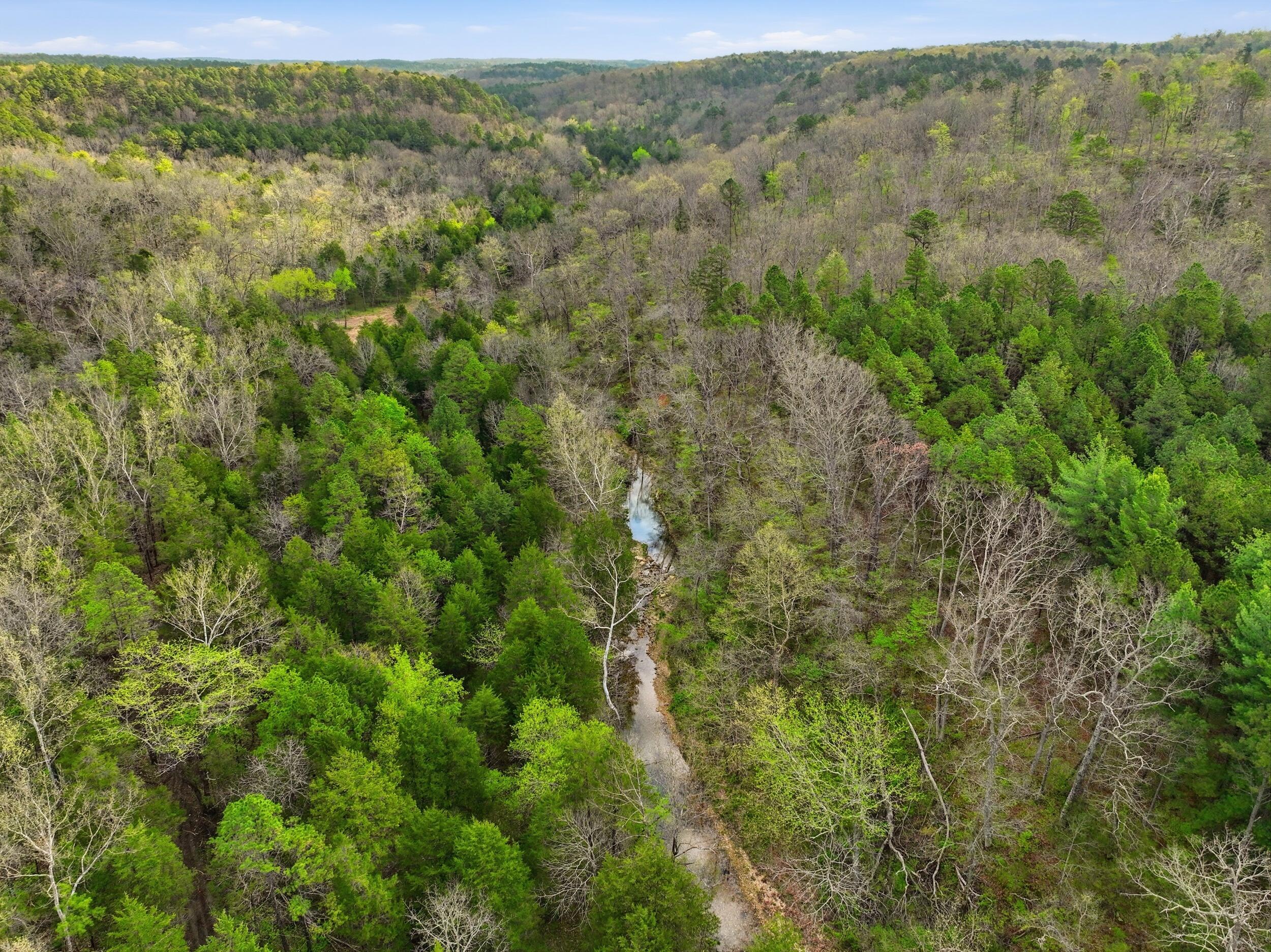 Photo 44 - Land for sale – 000  Highway 32   Licking, MO