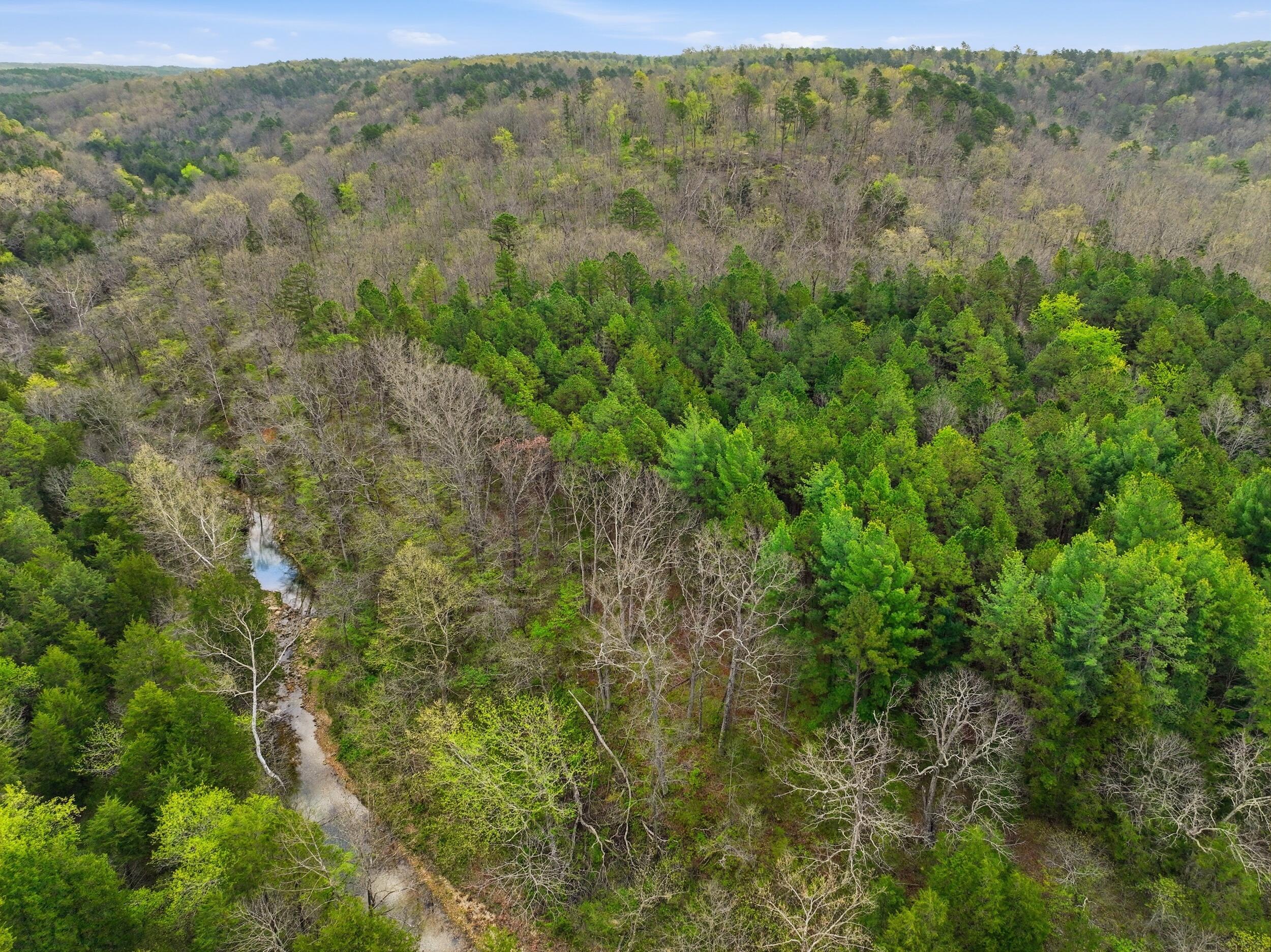 Photo 45 - Land for sale – 000  Highway 32   Licking, MO