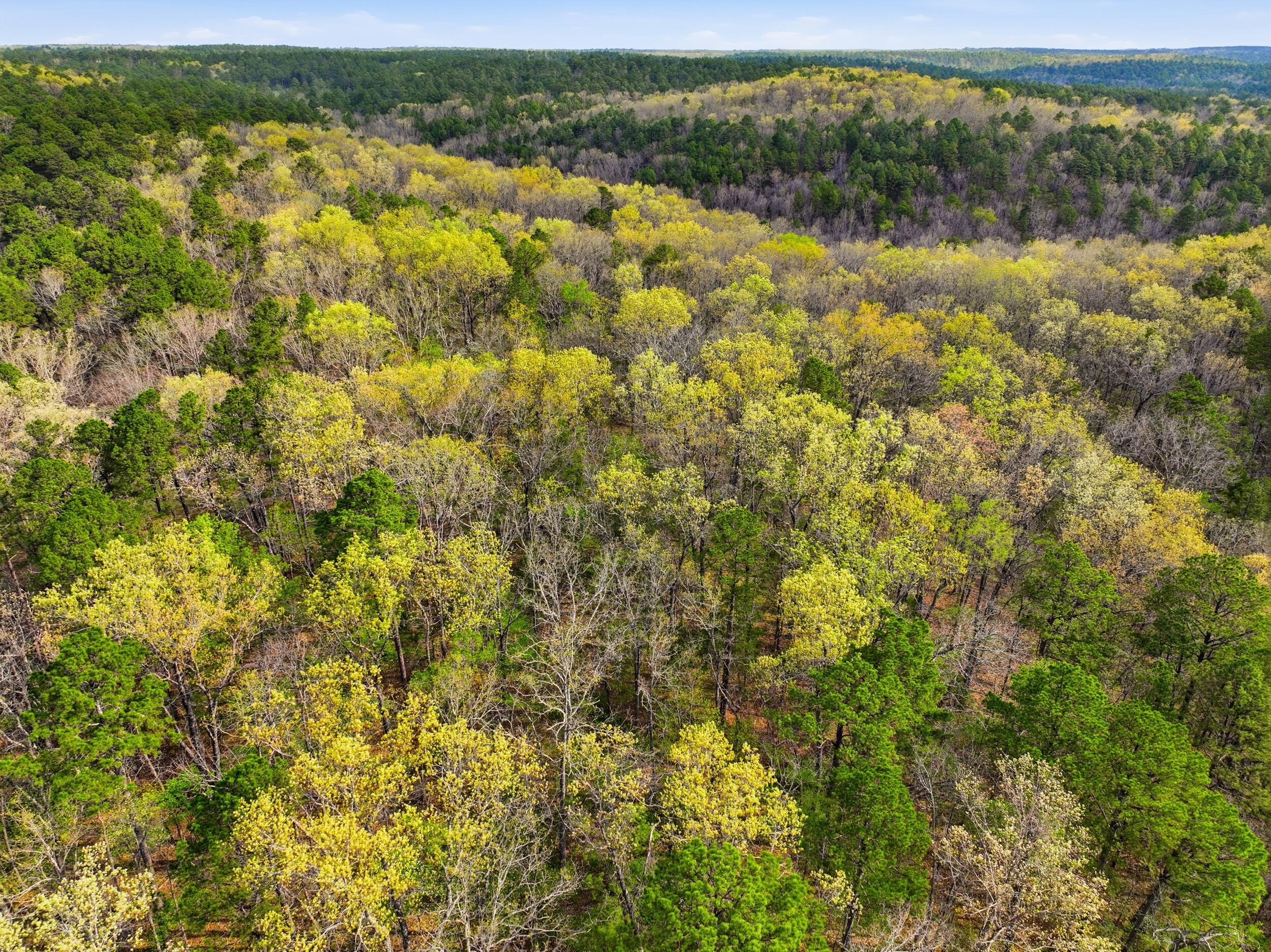 Photo 48 - Land for sale – 000  Highway 32   Licking, MO