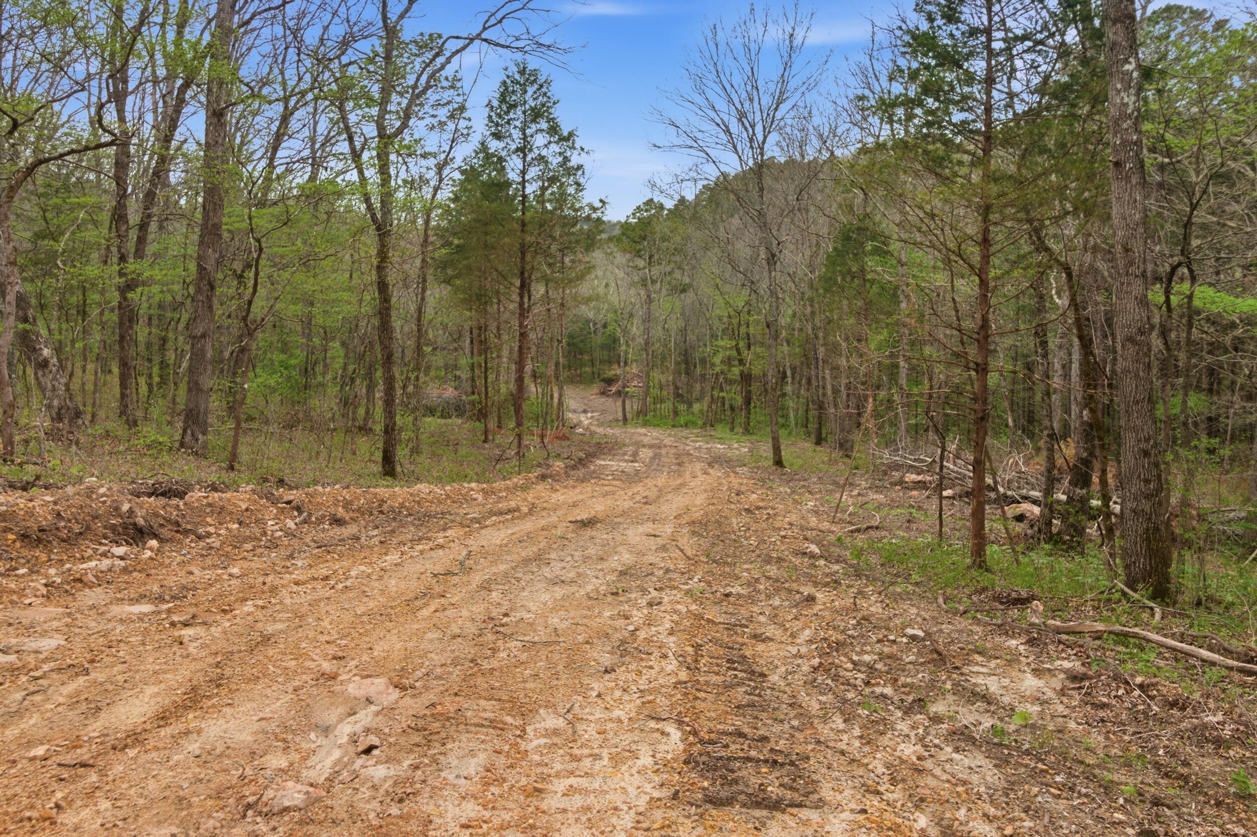 Photo 89 - Land for sale – 000  Highway 32   Licking, MO