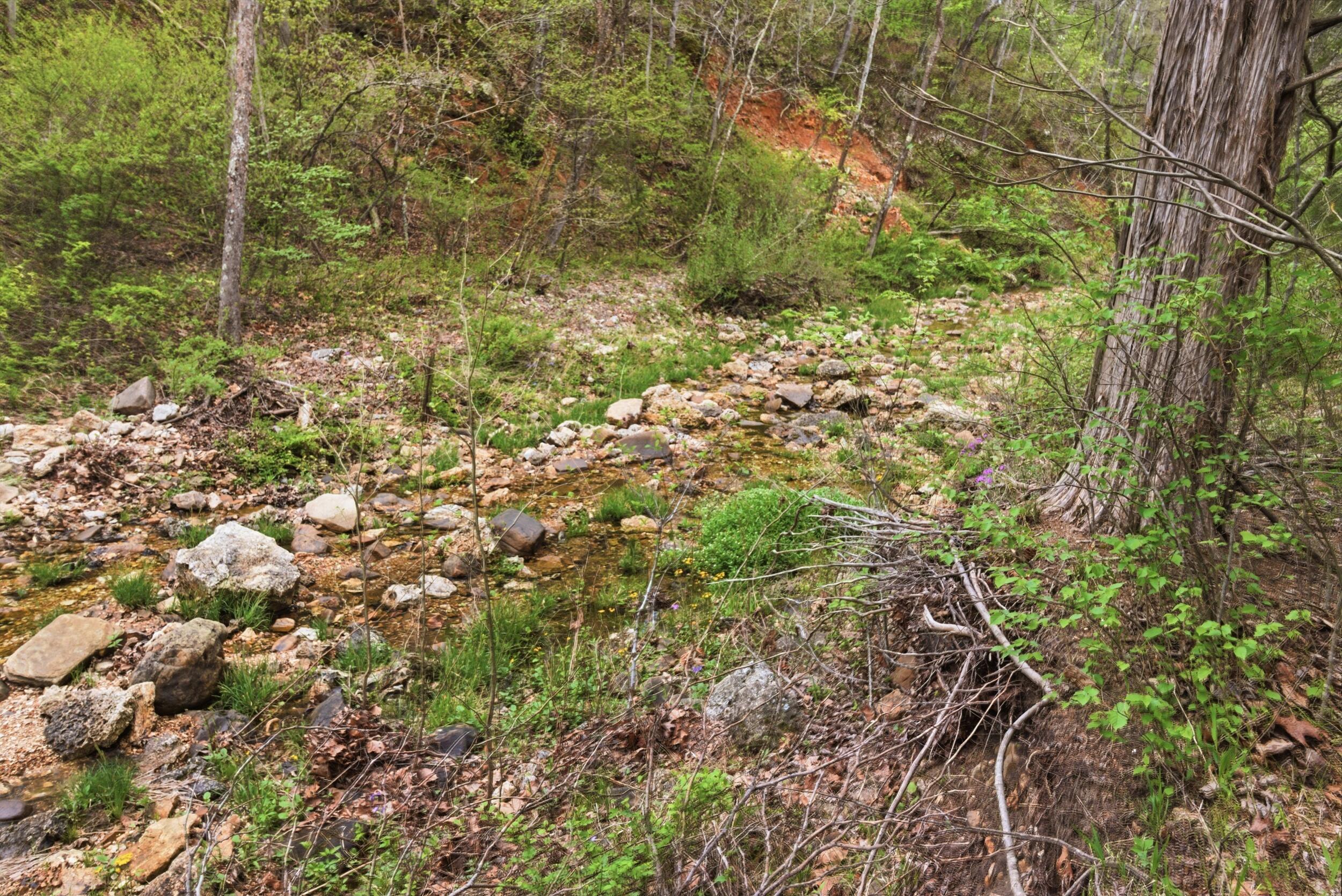 Photo 76 - Land for sale – 000  Highway 32   Licking, MO