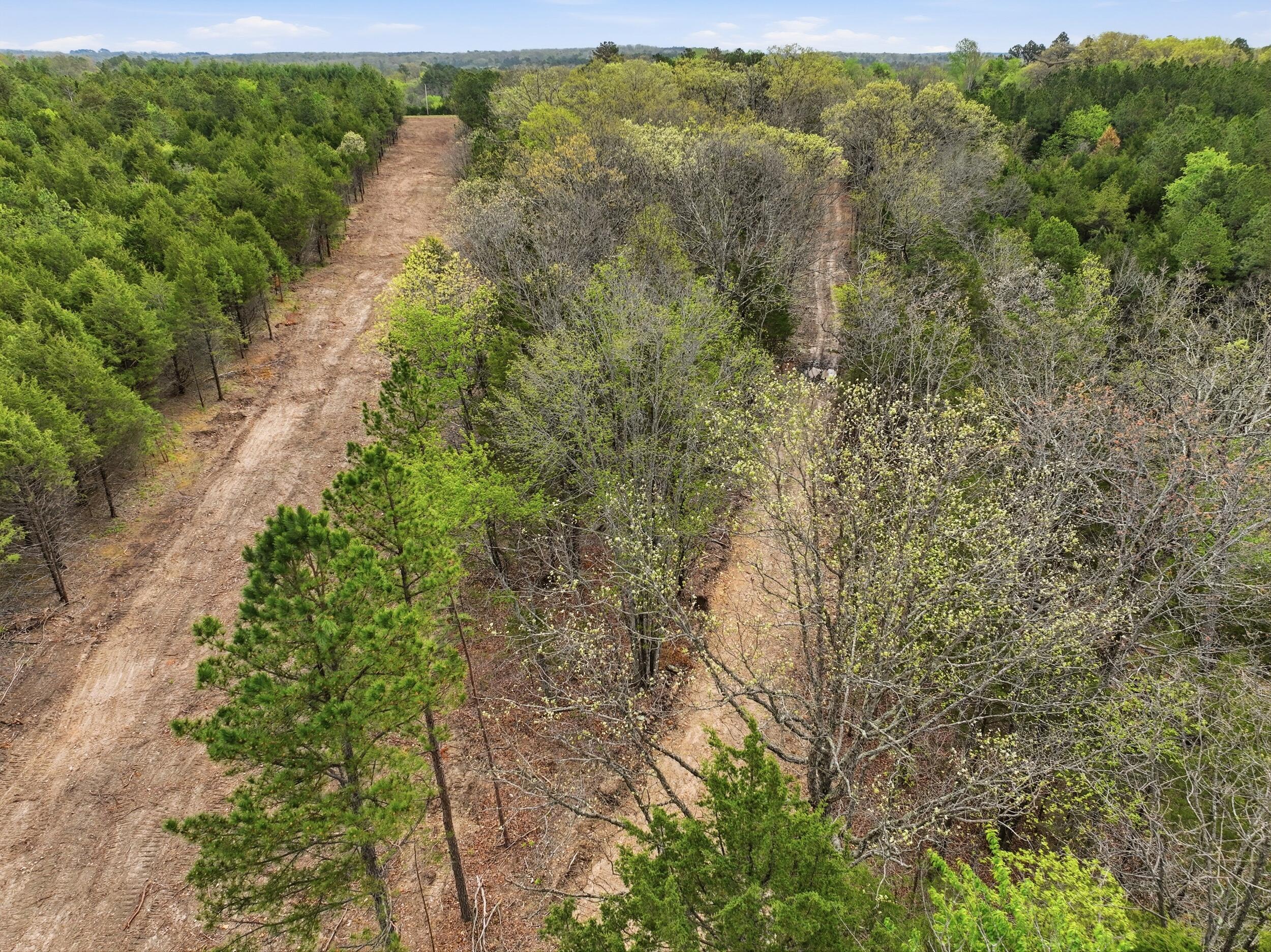 Photo 29 - Land for sale – 000  Highway 32   Licking, MO