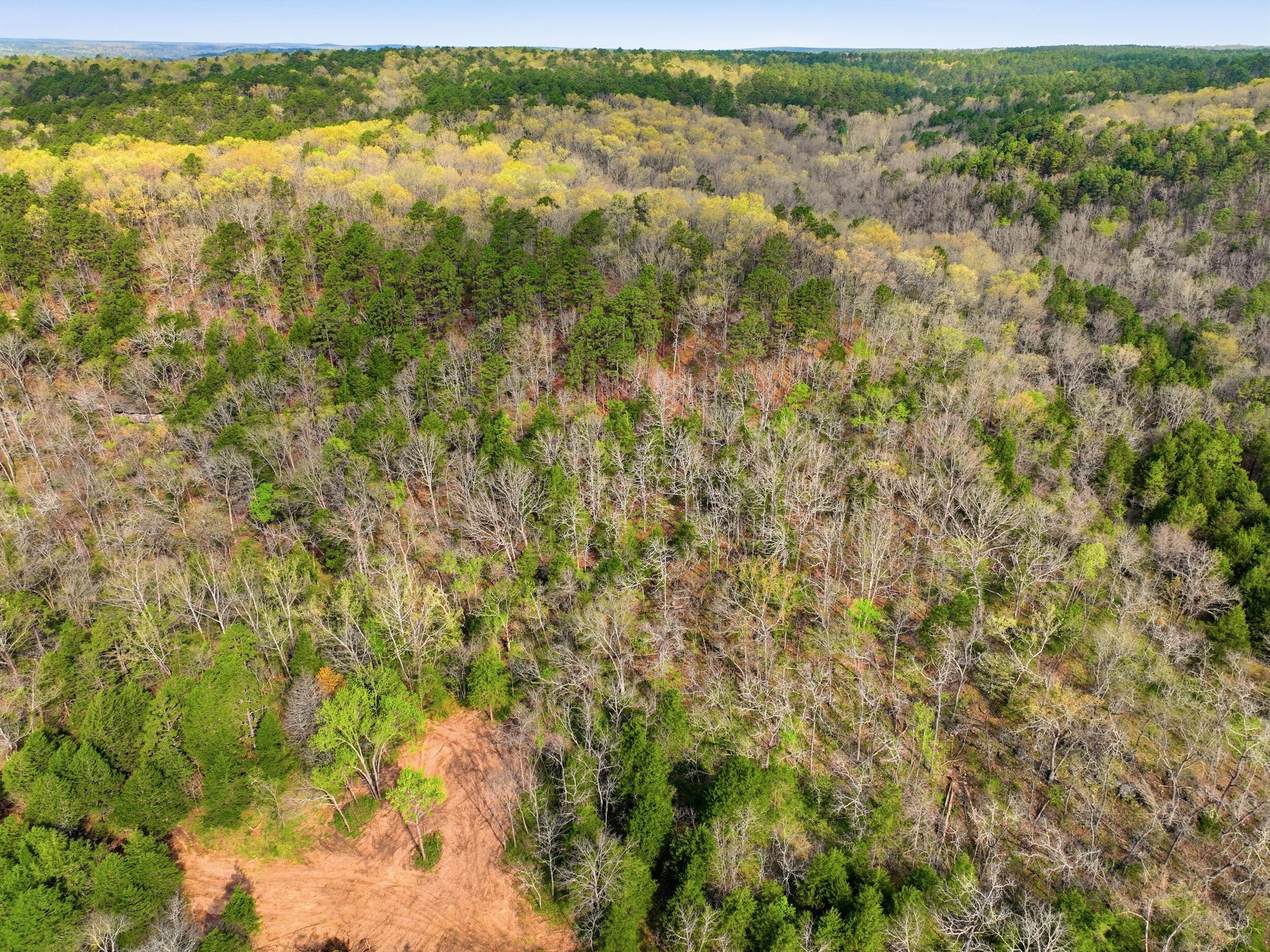 Photo 11 - Land for sale – 000  Highway 32   Licking, MO