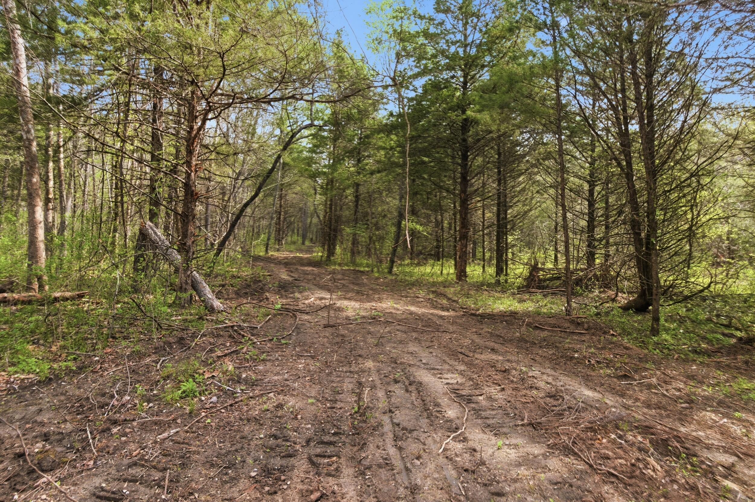 Photo 66 - Land for sale – 000  Highway 32   Licking, MO