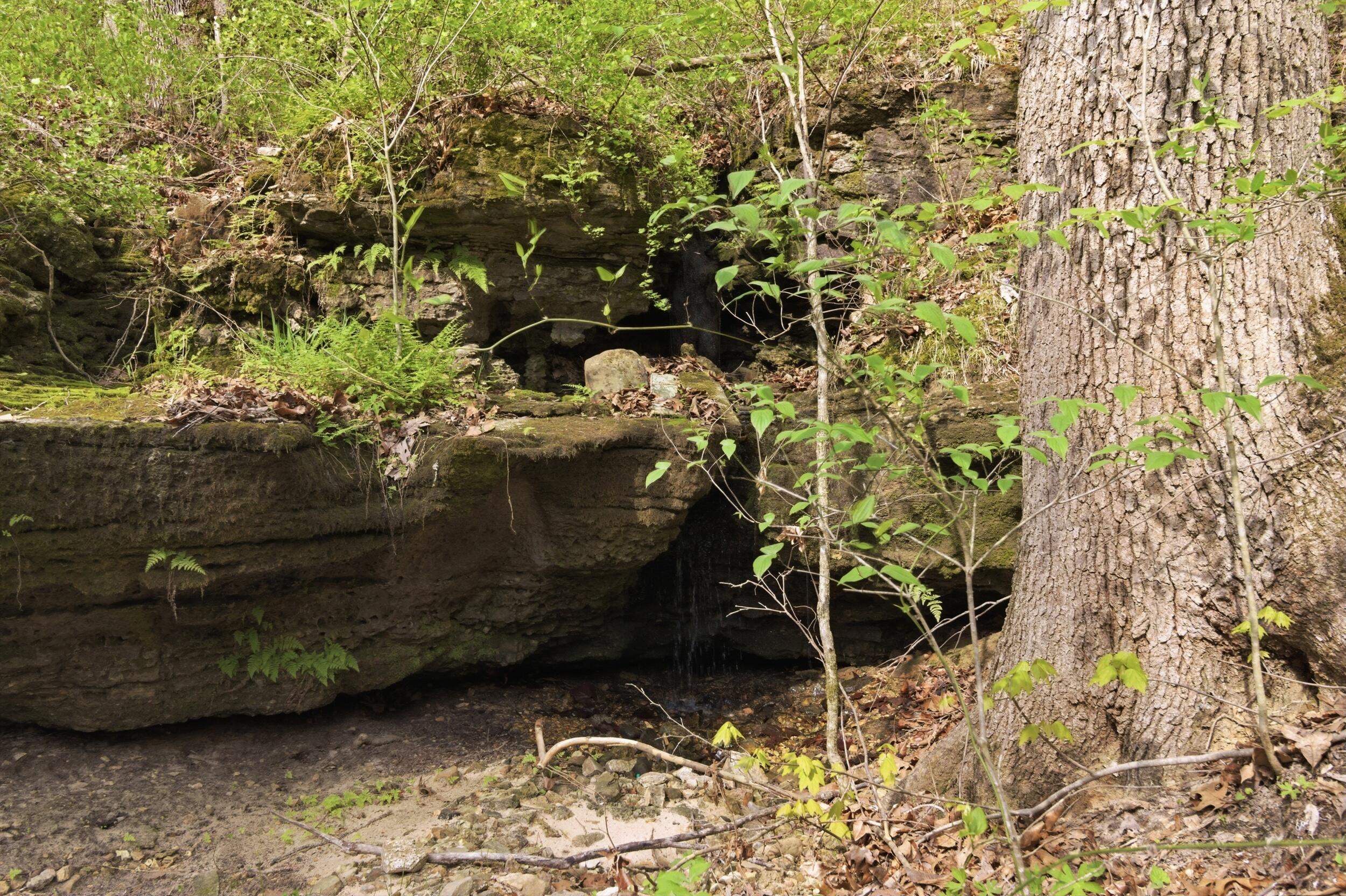 Photo 20 - Land for sale – 000  Highway 32   Licking, MO