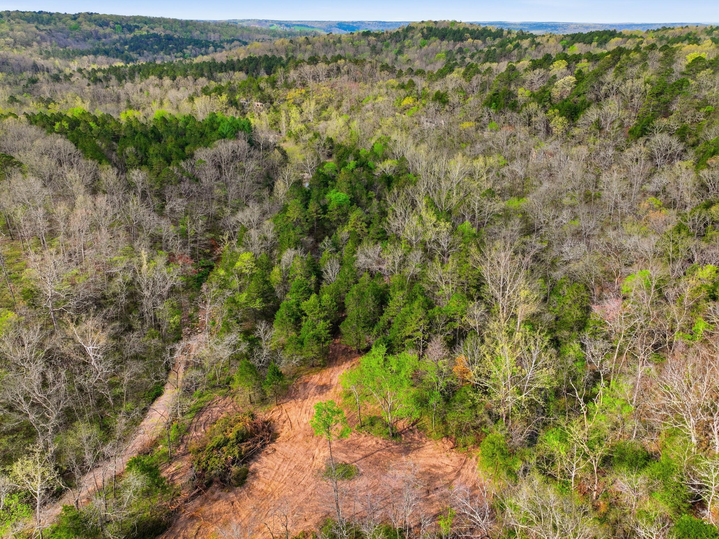 Photo 12 - Land for sale – 000  Highway 32   Licking, MO
