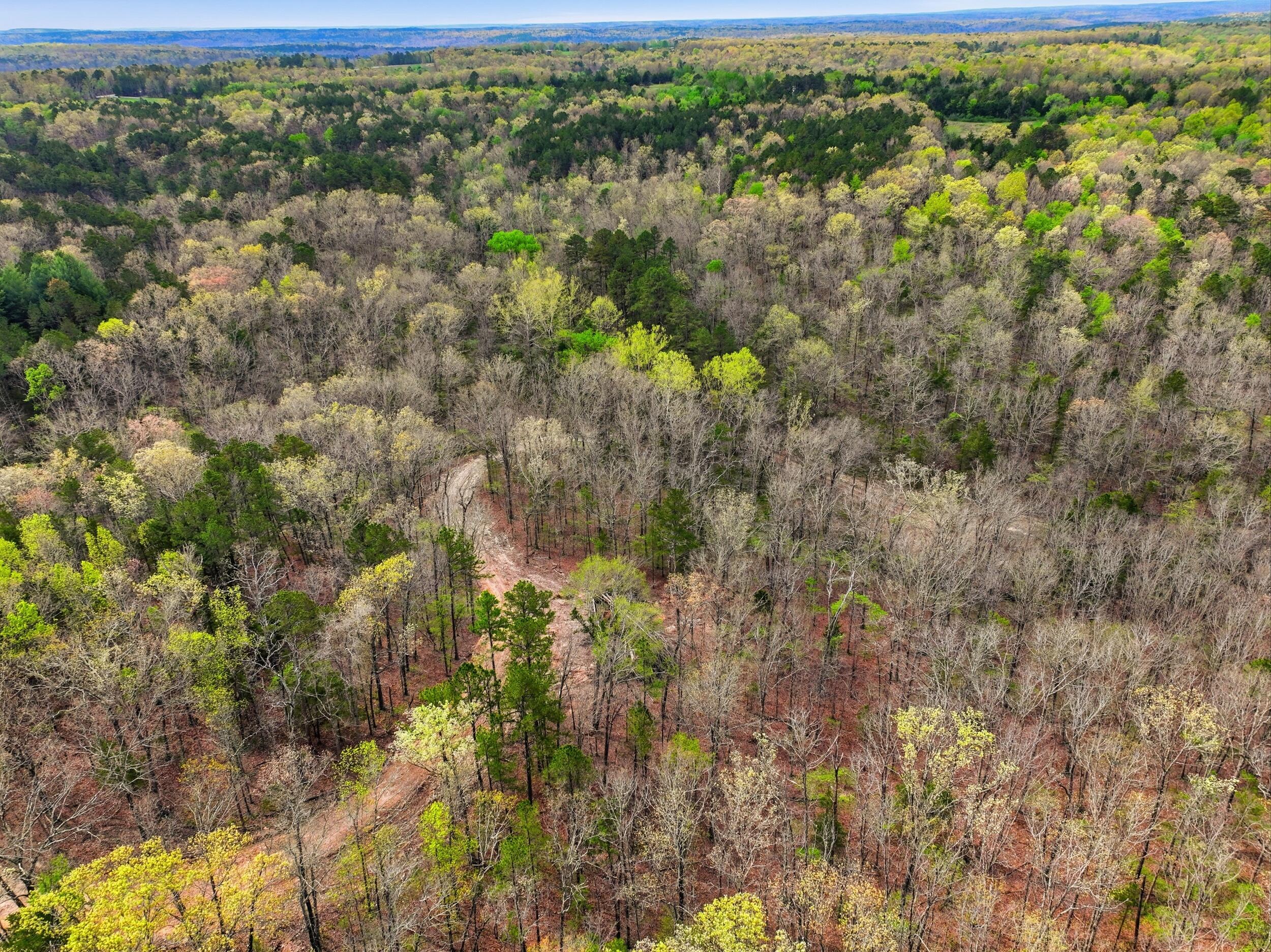 Photo 32 - Land for sale – 000  Highway 32   Licking, MO