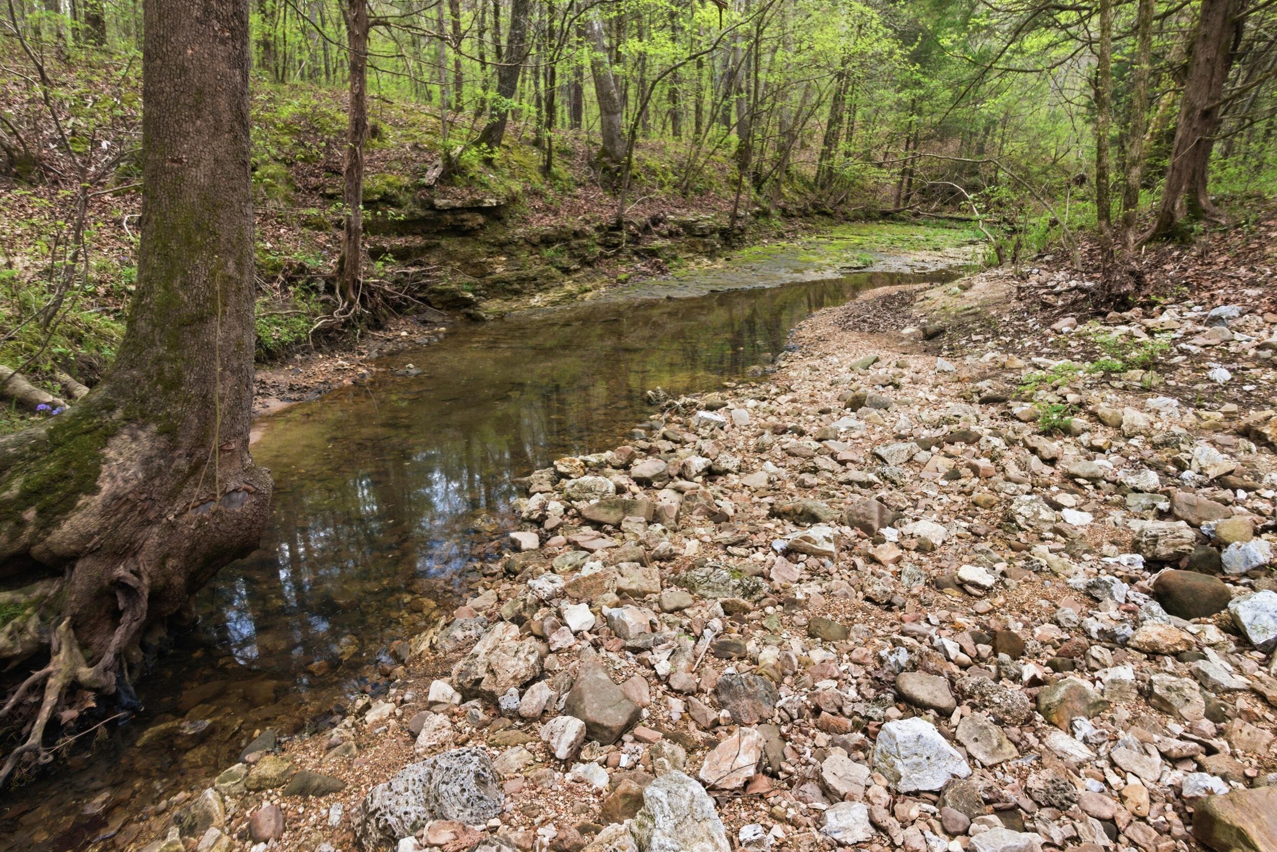 Photo 3 - Land for sale – 000  Highway 32   Licking, MO