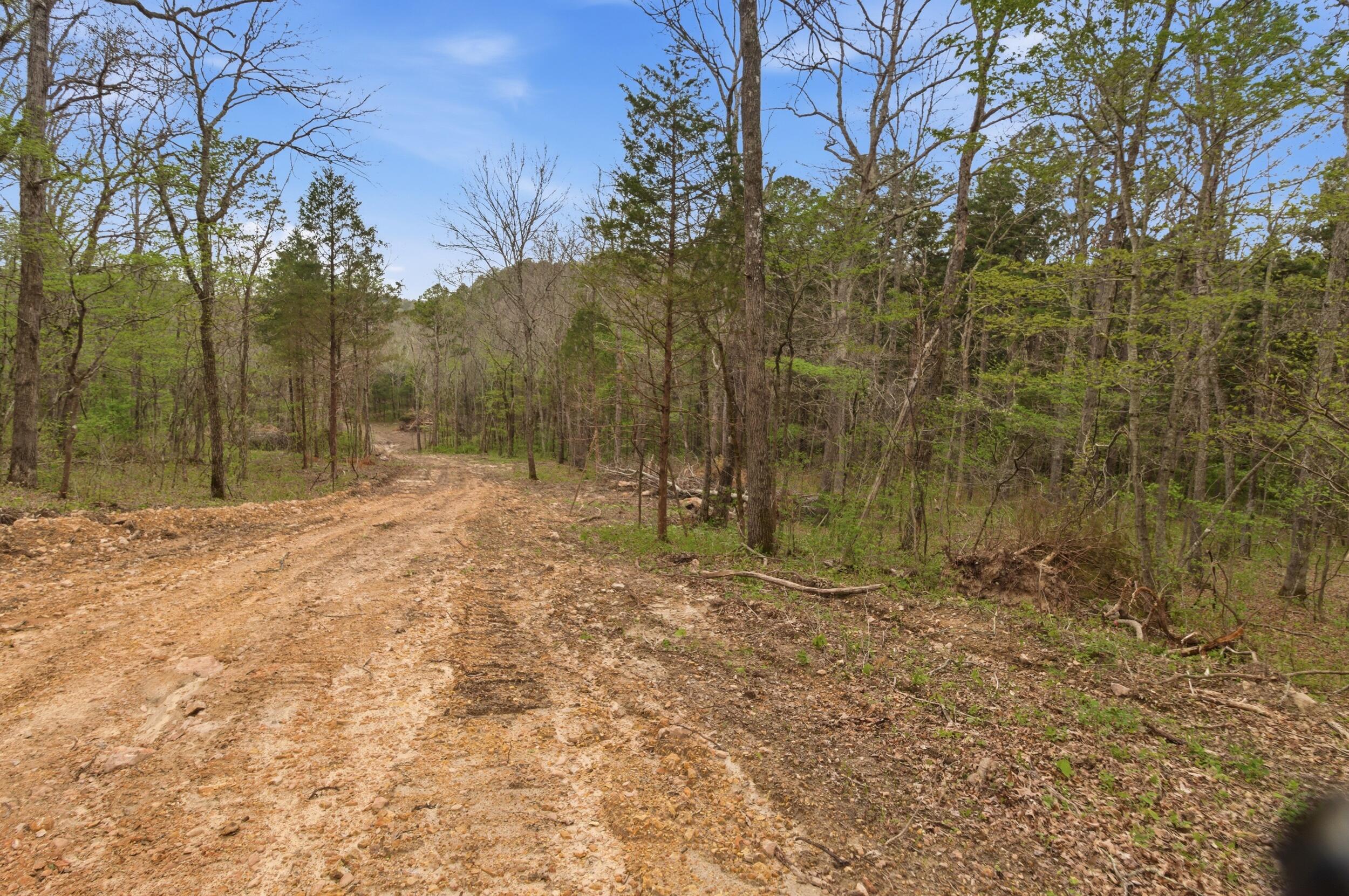 Photo 88 - Land for sale – 000  Highway 32   Licking, MO
