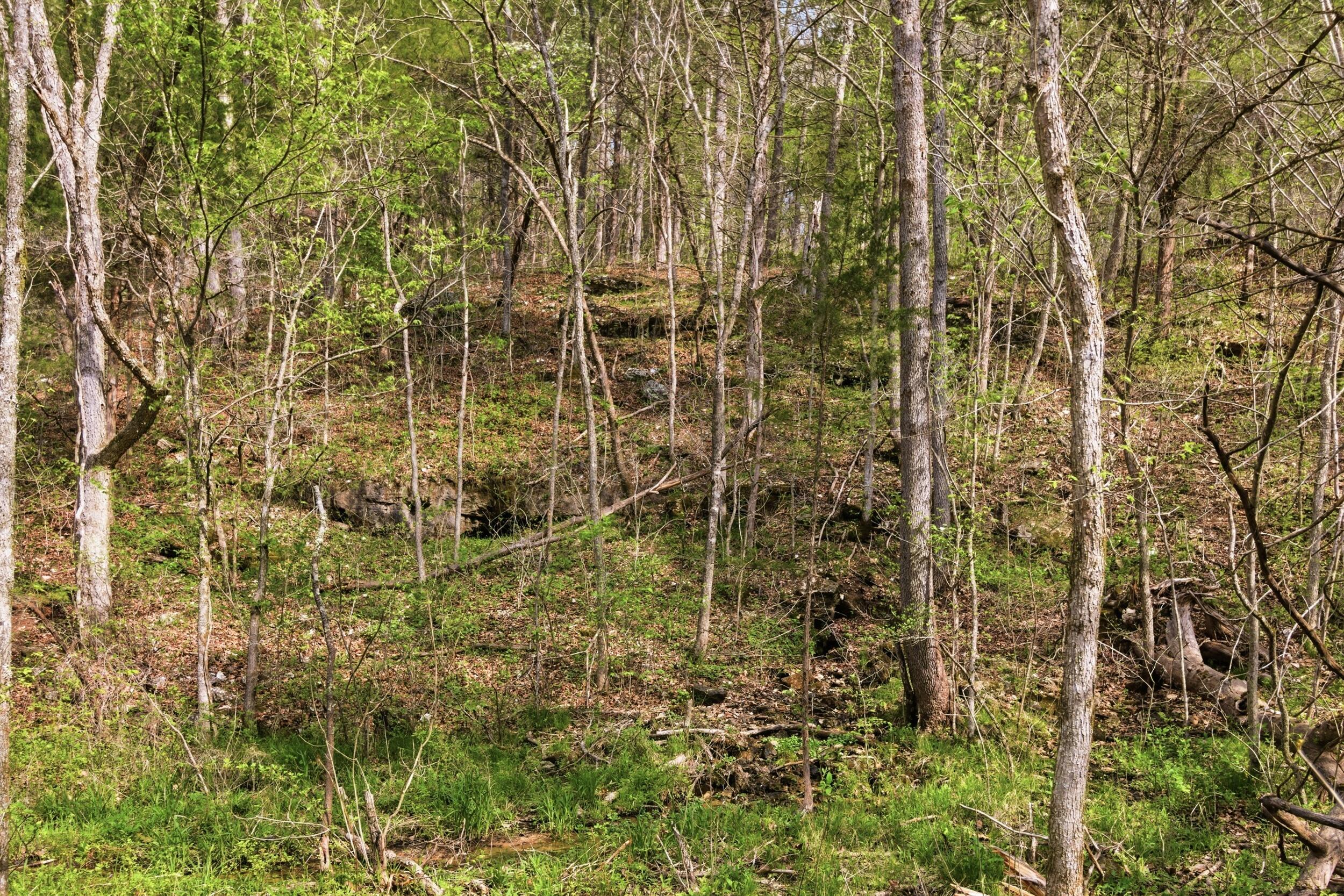 Photo 23 - Land for sale – 000  Highway 32   Licking, MO