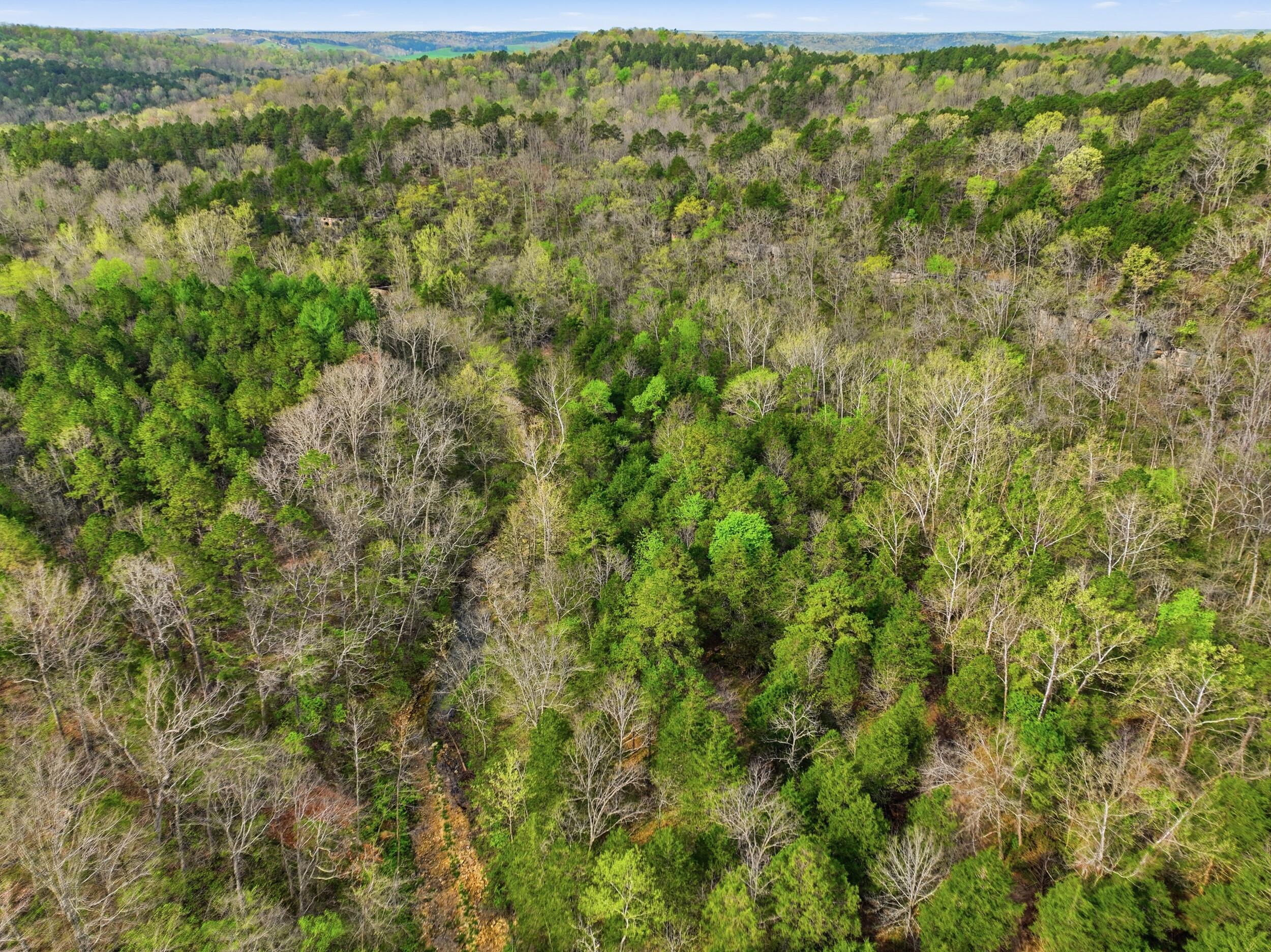 Photo 25 - Land for sale – 000  Highway 32   Licking, MO