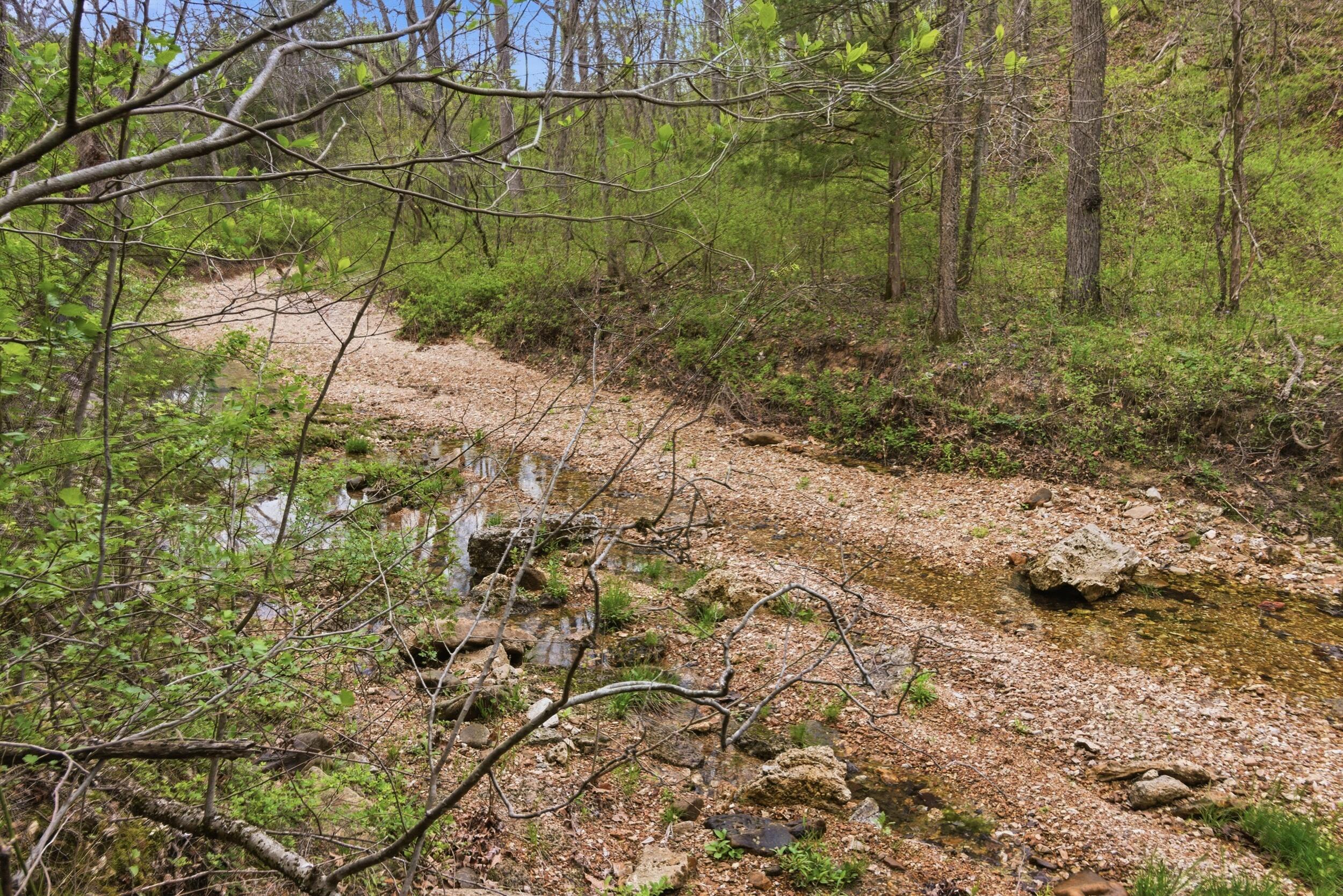 Photo 75 - Land for sale – 000  Highway 32   Licking, MO