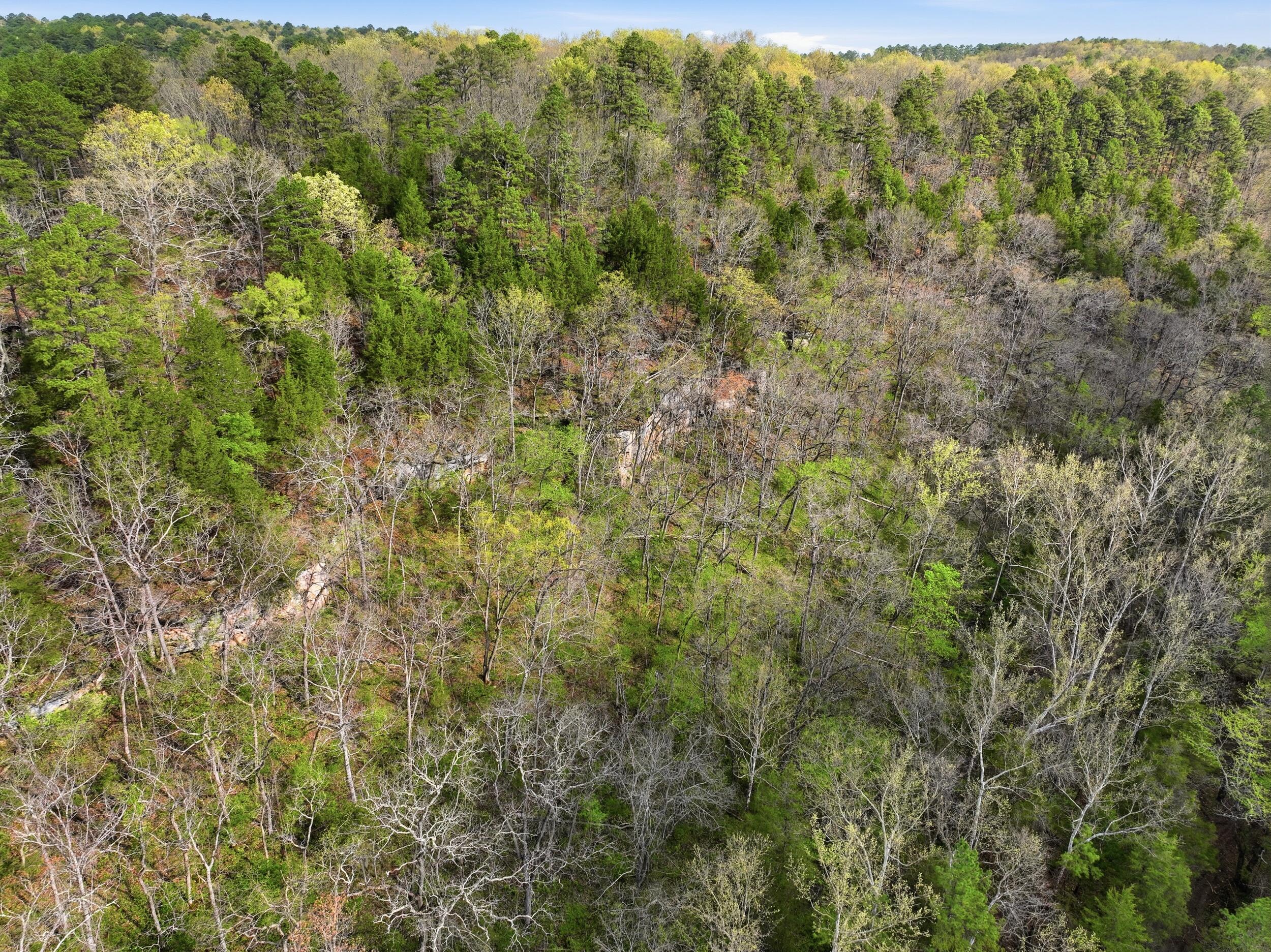 Photo 41 - Land for sale – 000  Highway 32   Licking, MO