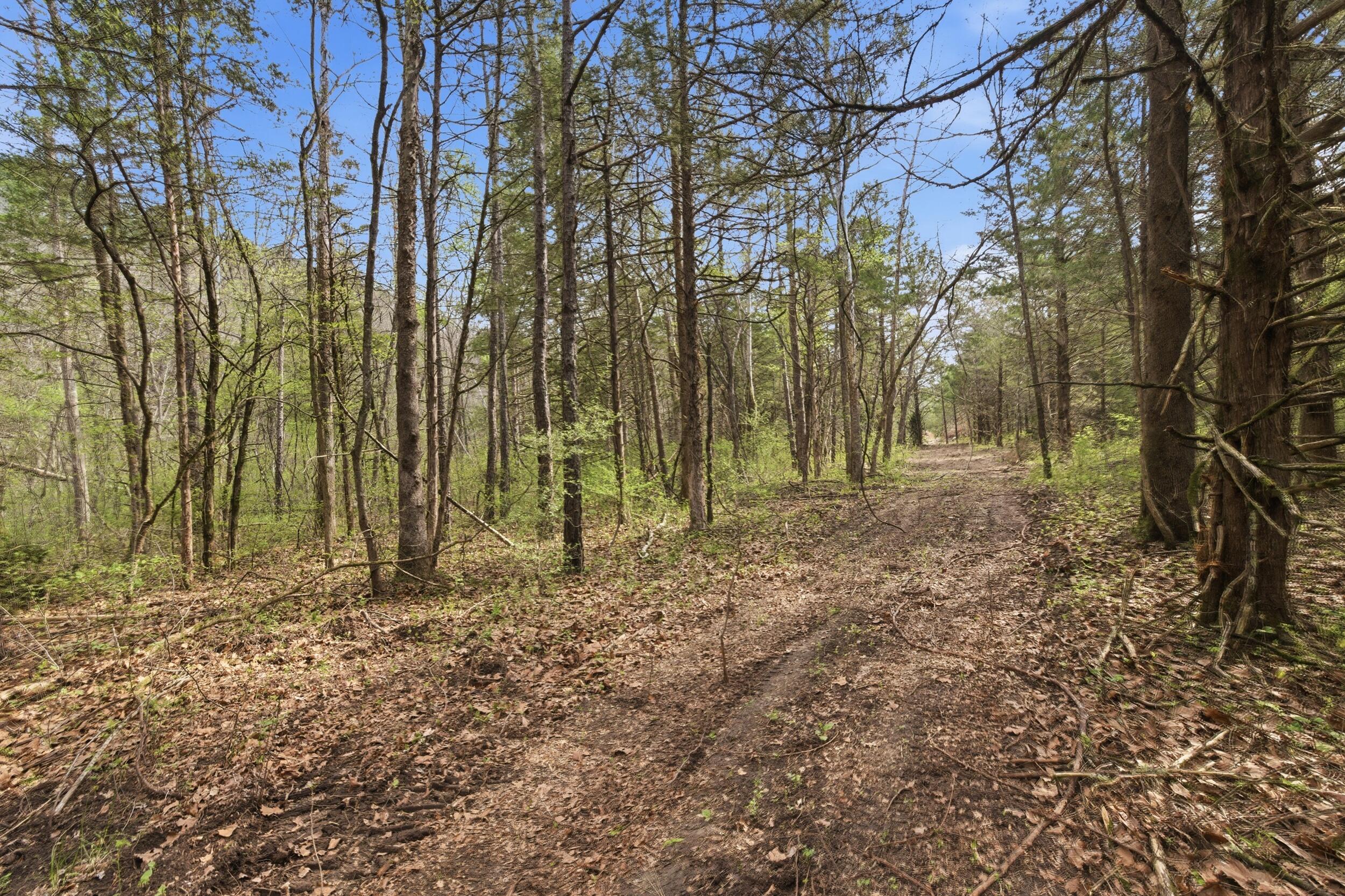 Photo 72 - Land for sale – 000  Highway 32   Licking, MO