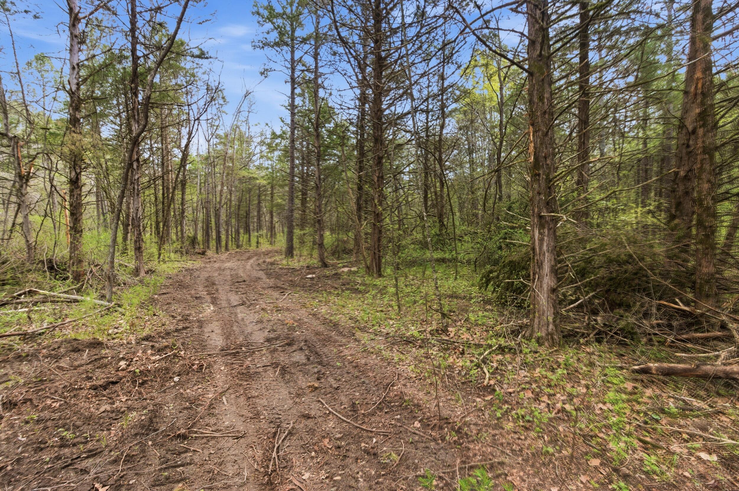 Photo 71 - Land for sale – 000  Highway 32   Licking, MO