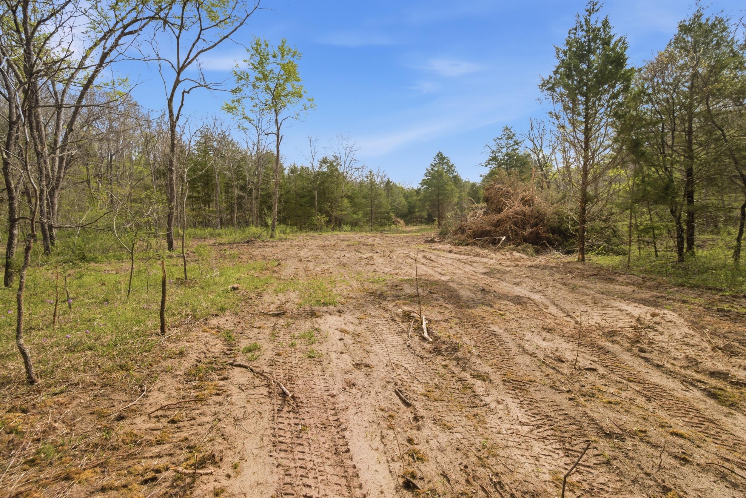 Photo 78 - Land for sale – 000  Highway 32   Licking, MO