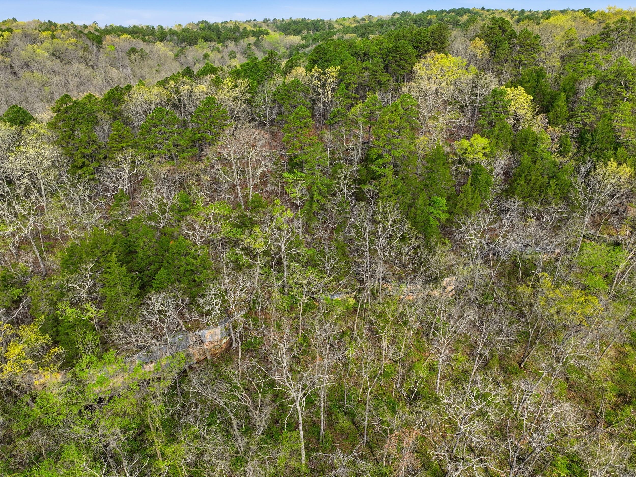 Photo 36 - Land for sale – 000  Highway 32   Licking, MO