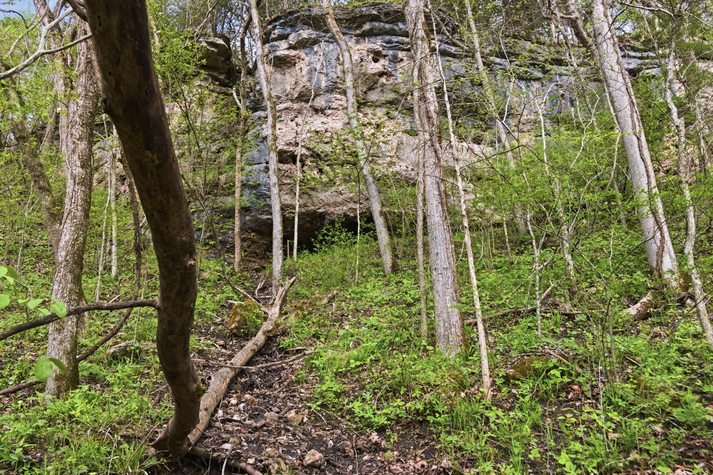 Photo 52 - Land for sale – 000  Highway 32   Licking, MO