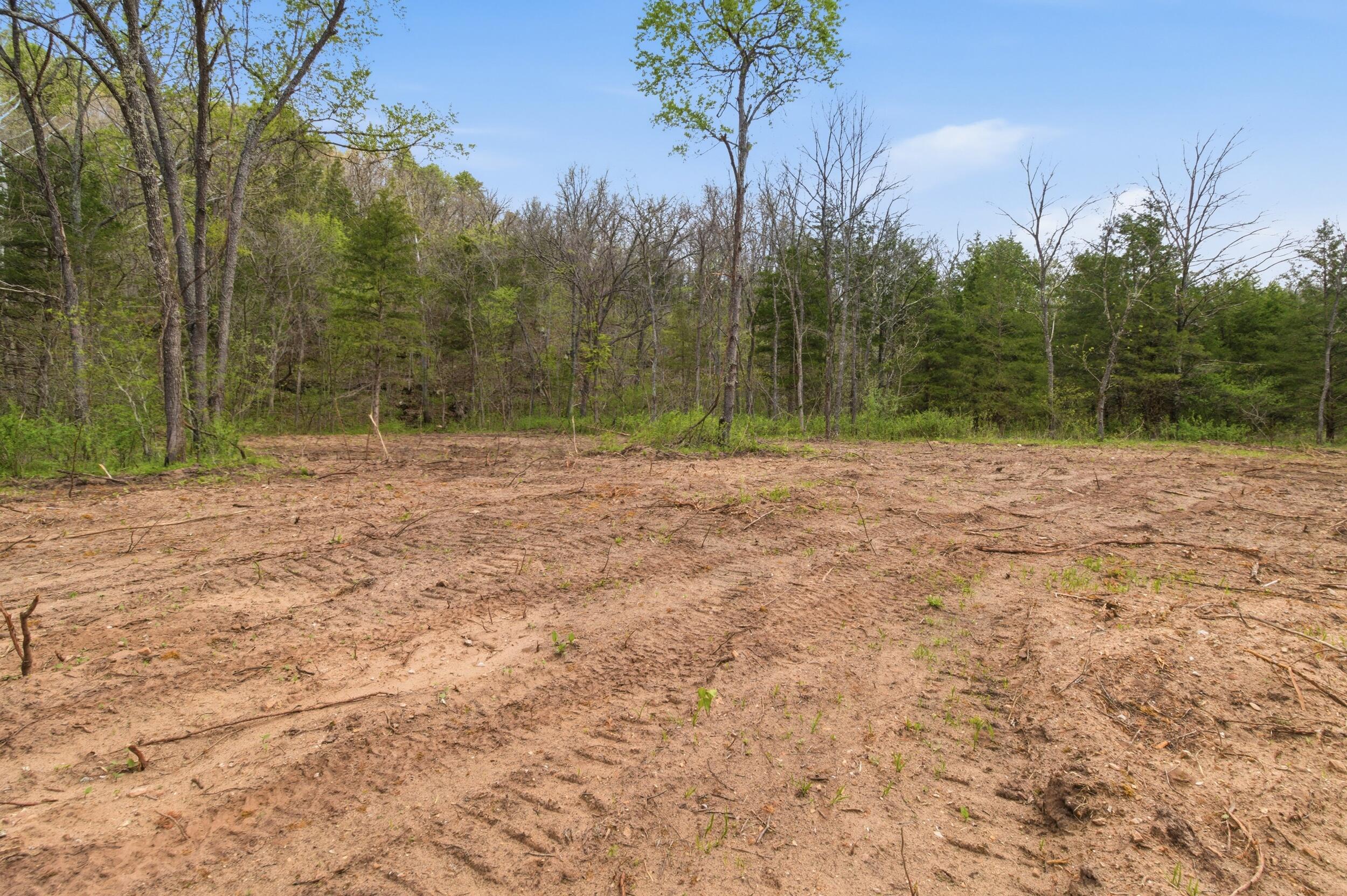 Photo 80 - Land for sale – 000  Highway 32   Licking, MO