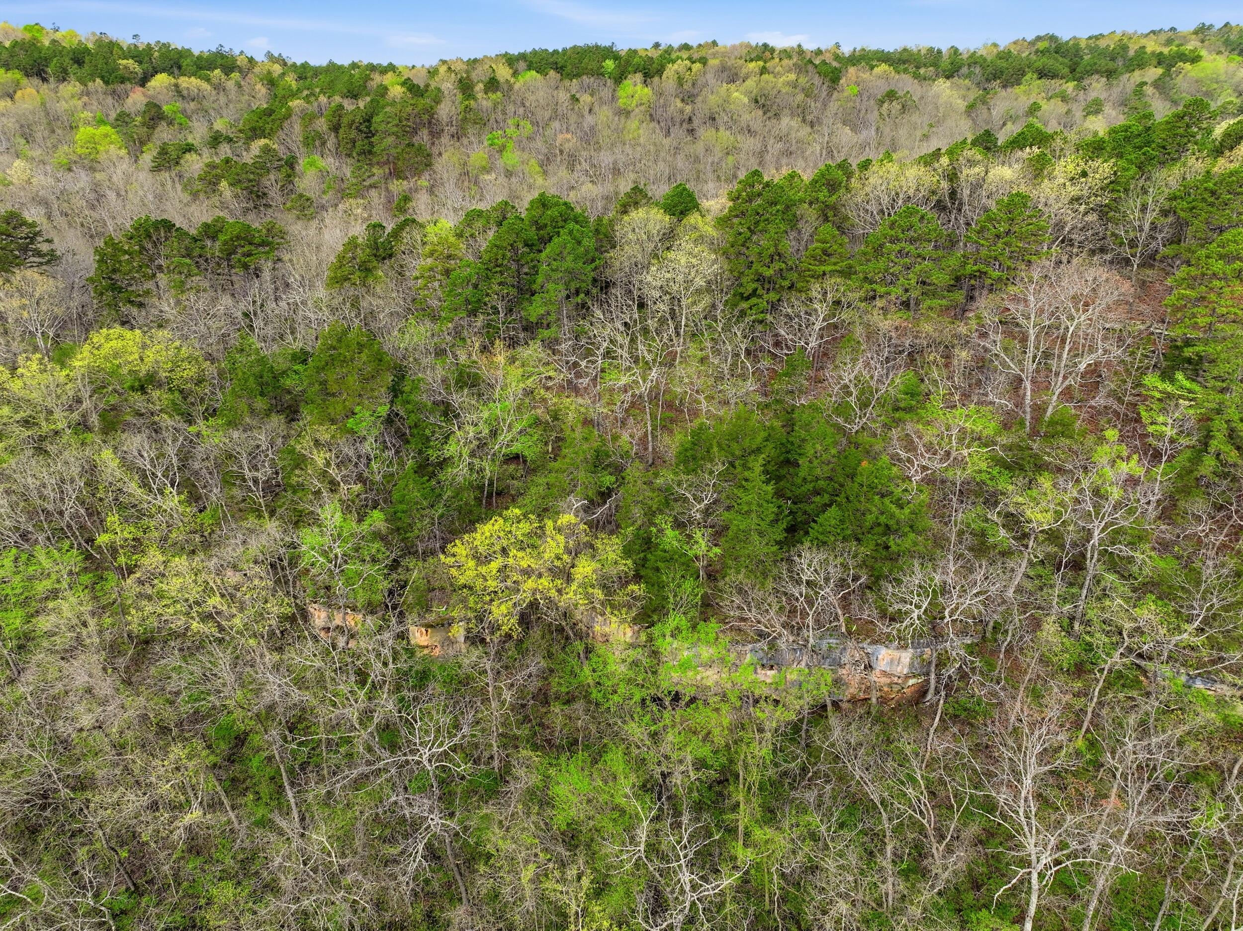 Photo 43 - Land for sale – 000  Highway 32   Licking, MO