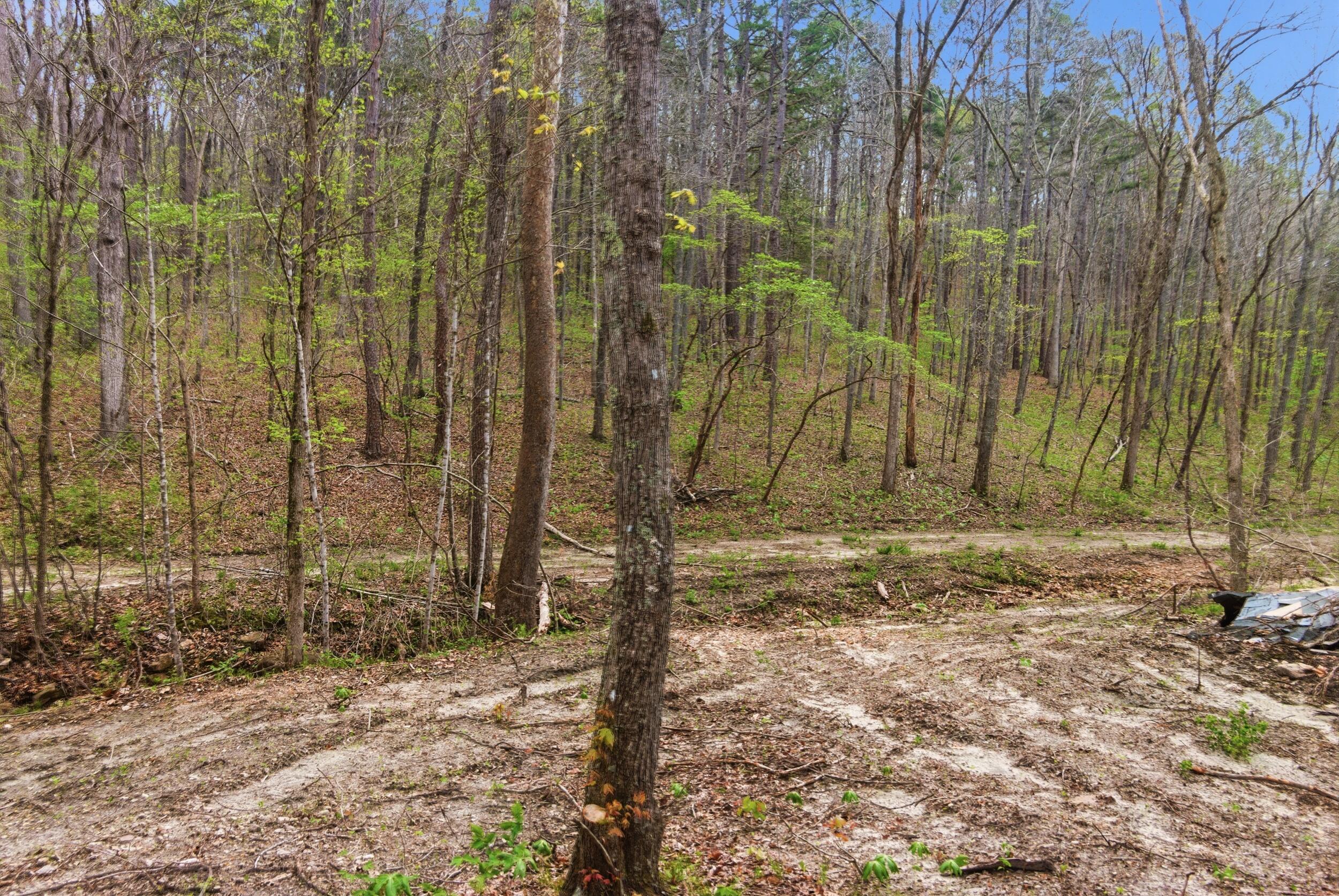 Photo 81 - Land for sale – 000  Highway 32   Licking, MO