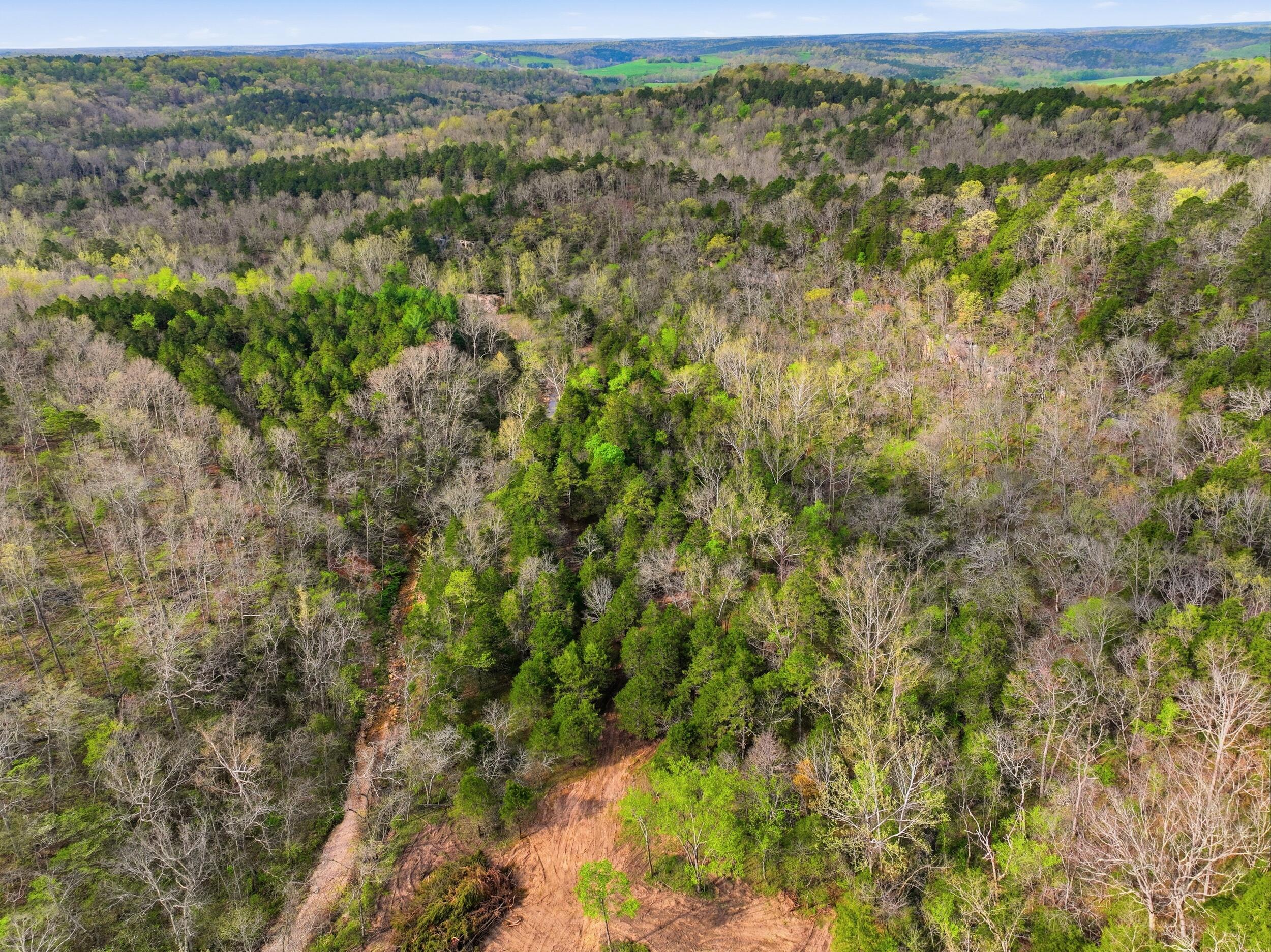 Photo 10 - Land for sale – 000  Highway 32   Licking, MO