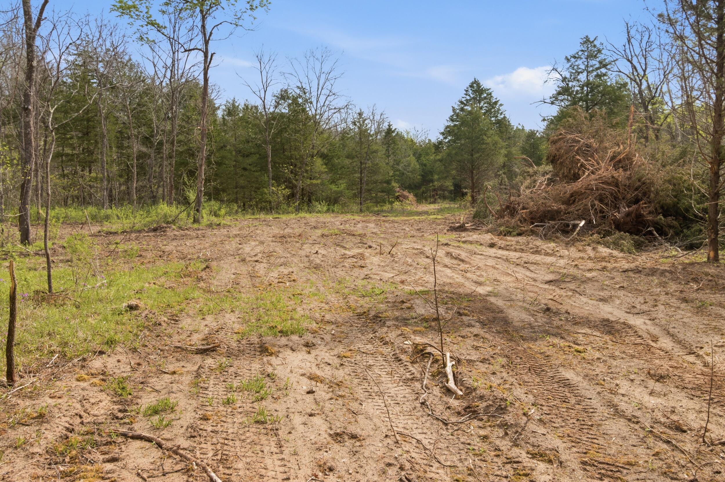 Photo 79 - Land for sale – 000  Highway 32   Licking, MO