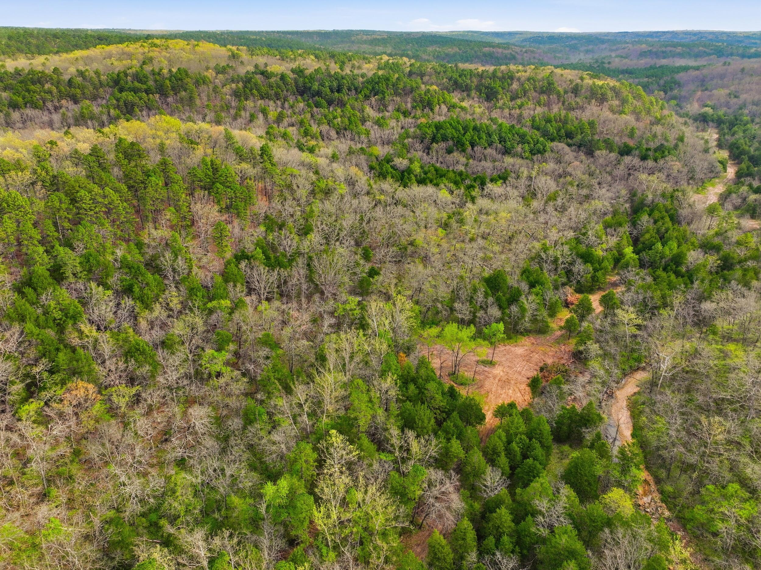 Photo 50 - Land for sale – 000  Highway 32   Licking, MO