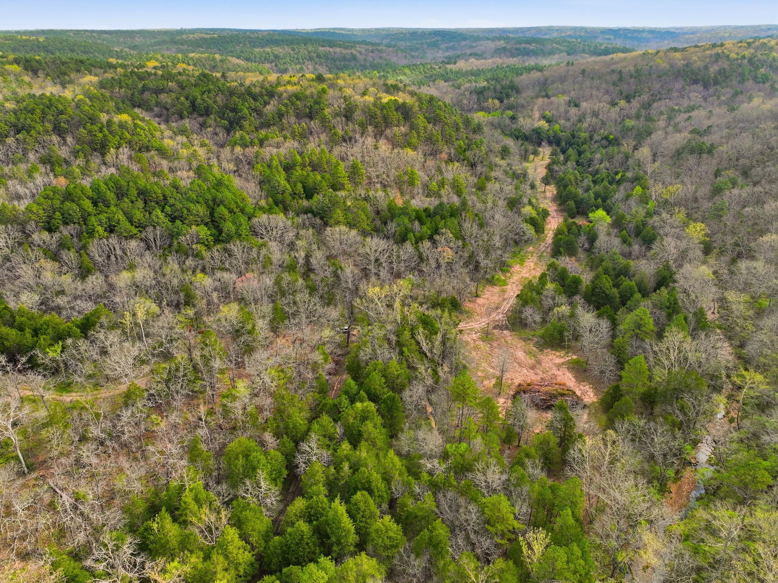 Photo 26 - Land for sale – 000  Highway 32   Licking, MO