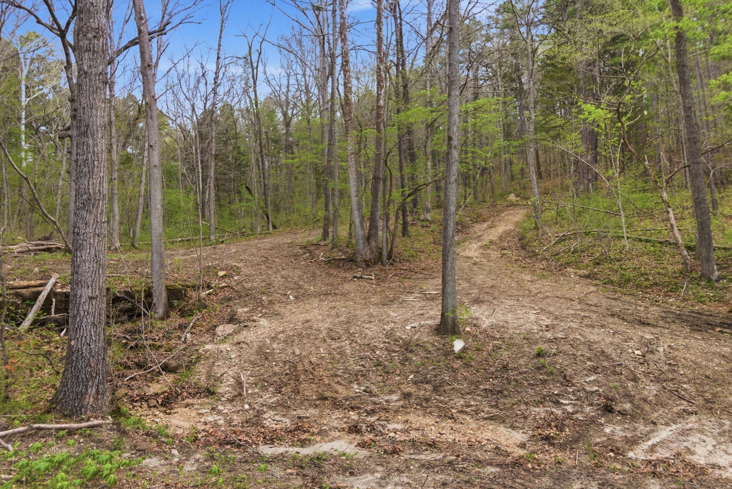 Photo 22 - Land for sale – 000  Highway 32   Licking, MO