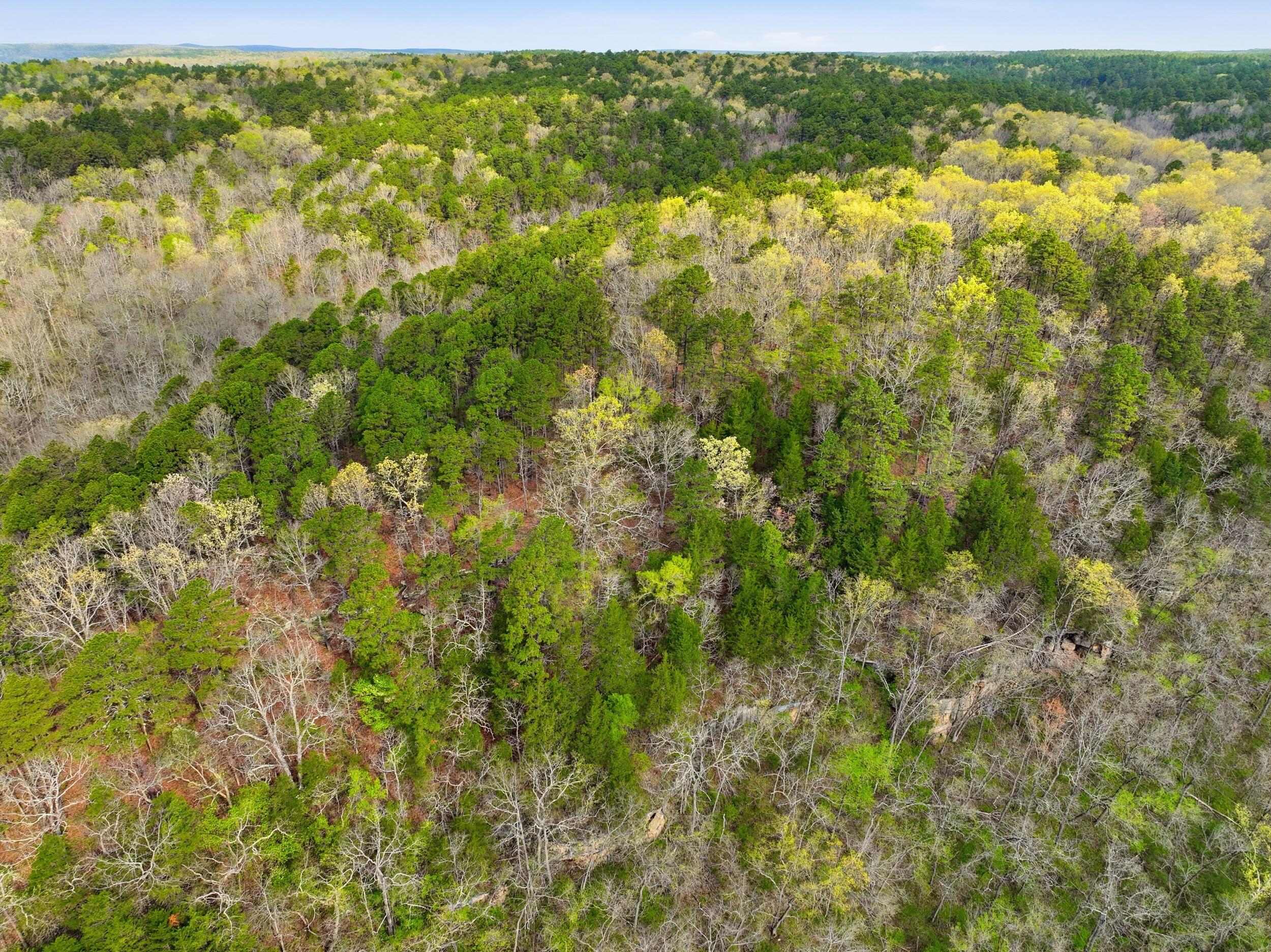 Photo 47 - Land for sale – 000  Highway 32   Licking, MO