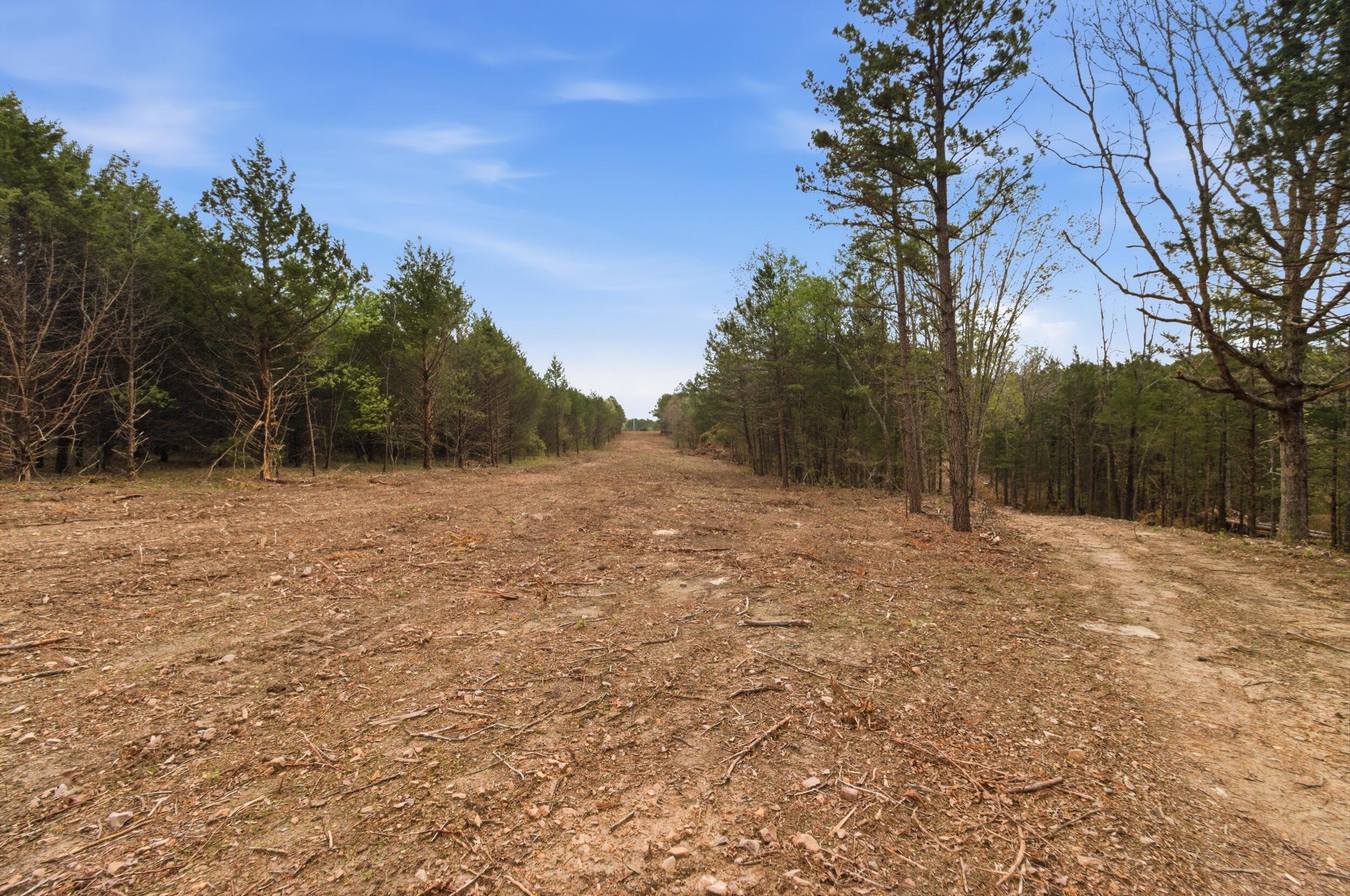 Photo 93 - Land for sale – 000  Highway 32   Licking, MO