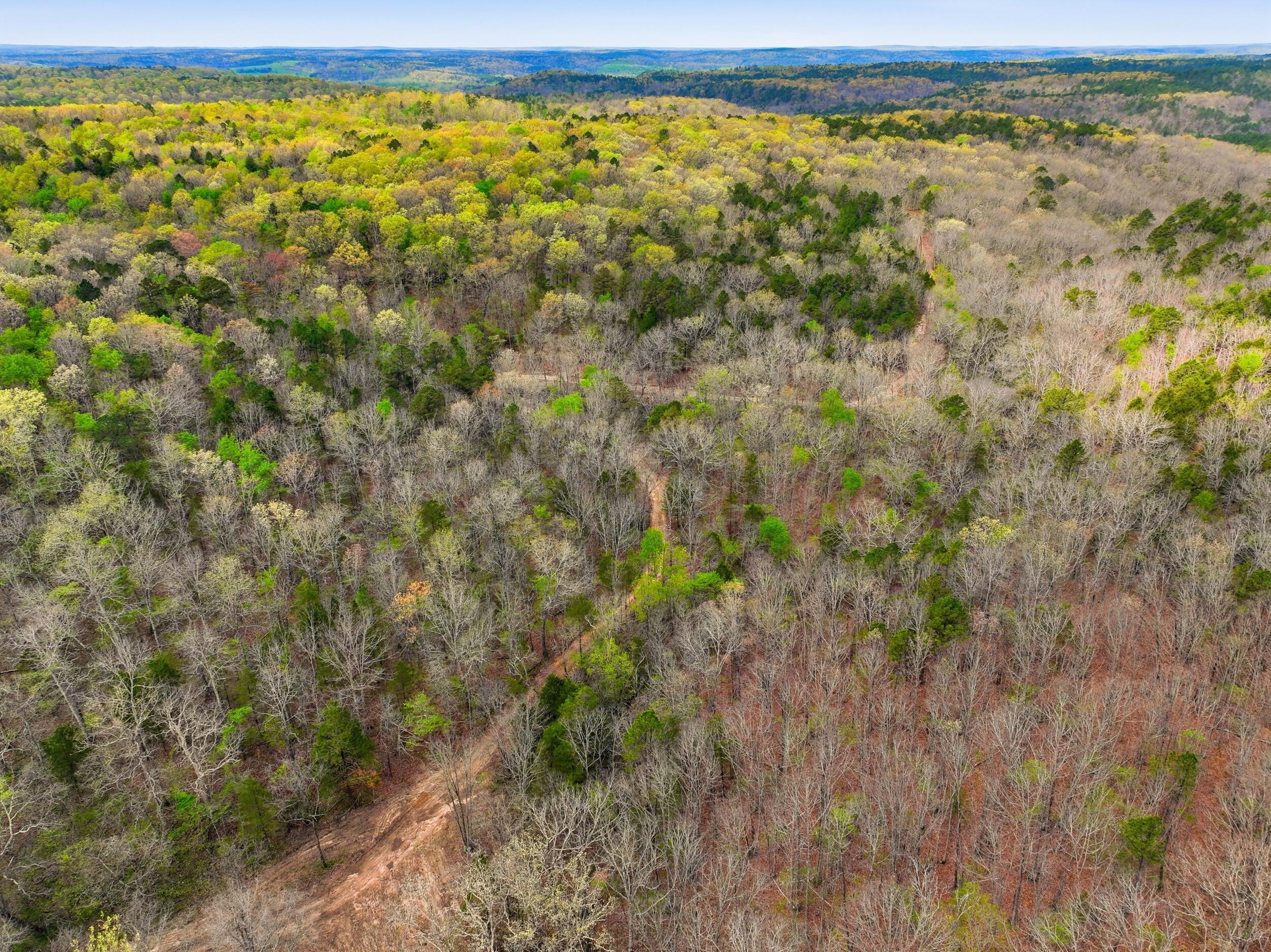 Photo 39 - Land for sale – 000  Highway 32   Licking, MO