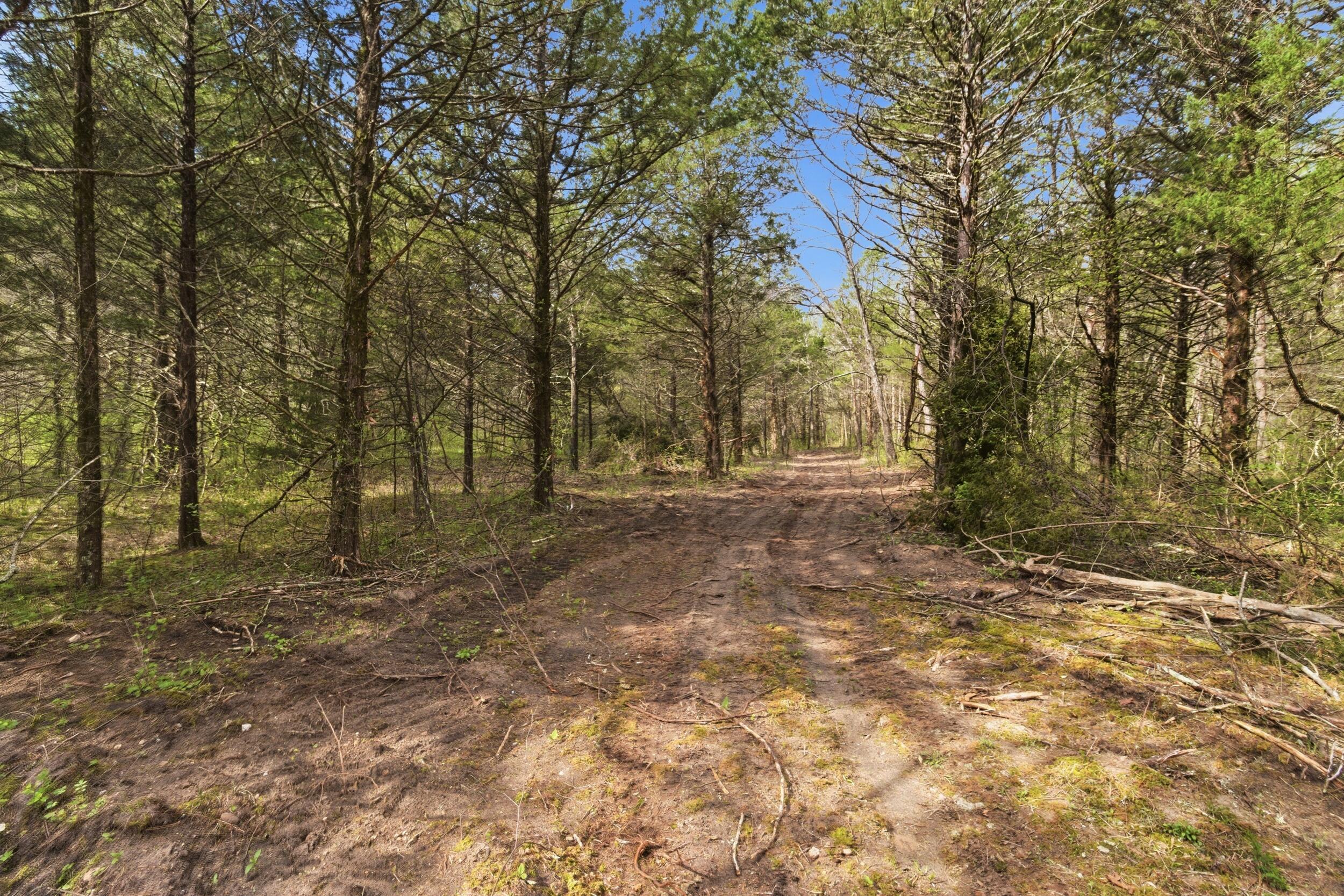 Photo 77 - Land for sale – 000  Highway 32   Licking, MO