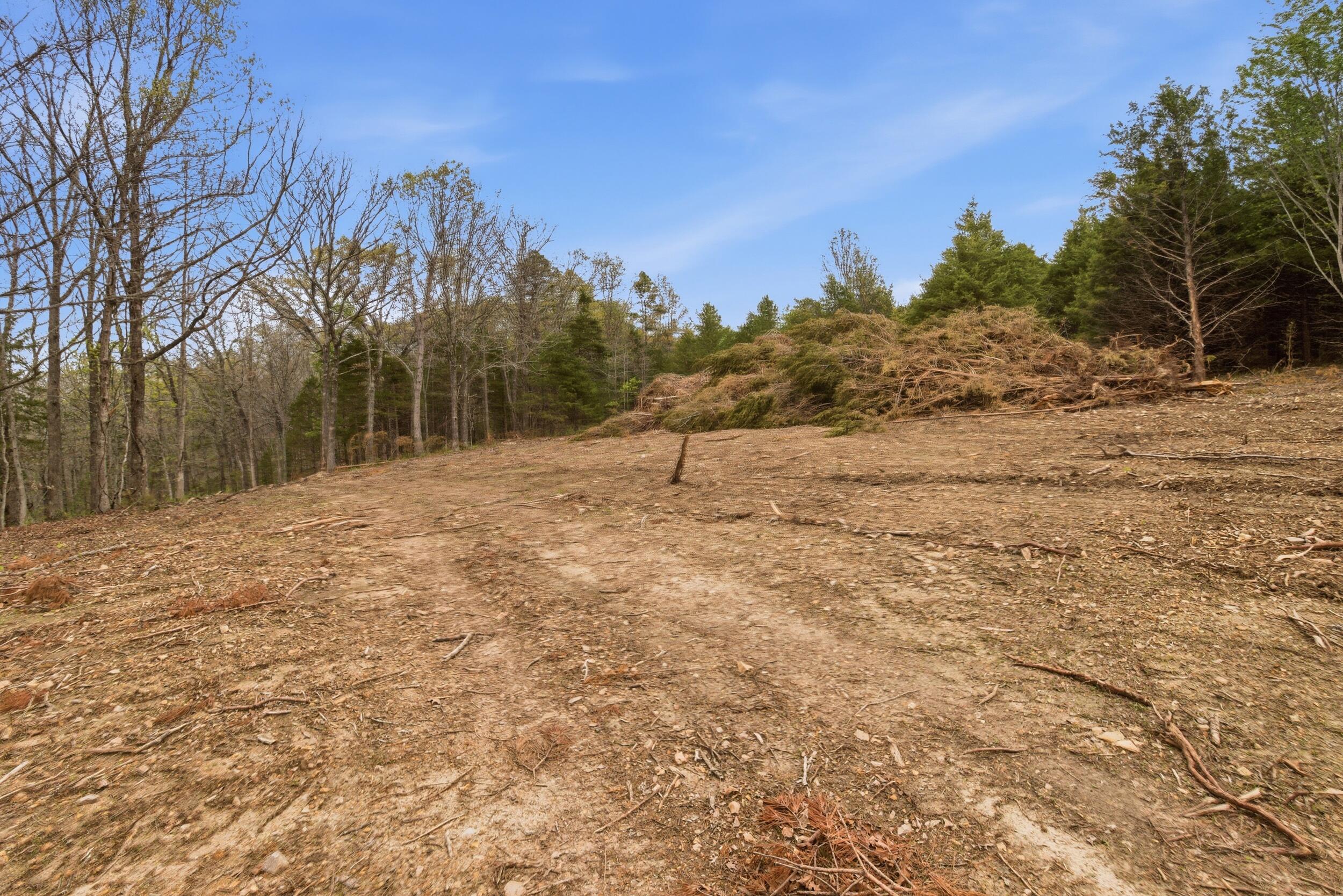 Photo 92 - Land for sale – 000  Highway 32   Licking, MO