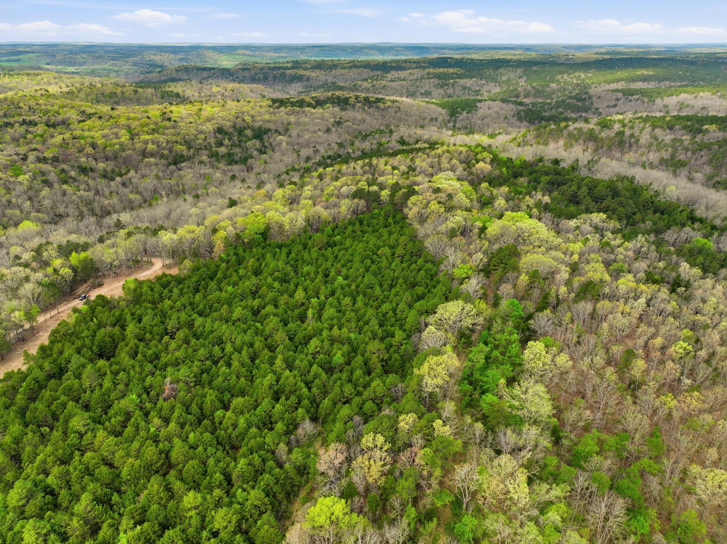 Photo 31 - Land for sale – 000  Highway 32   Licking, MO
