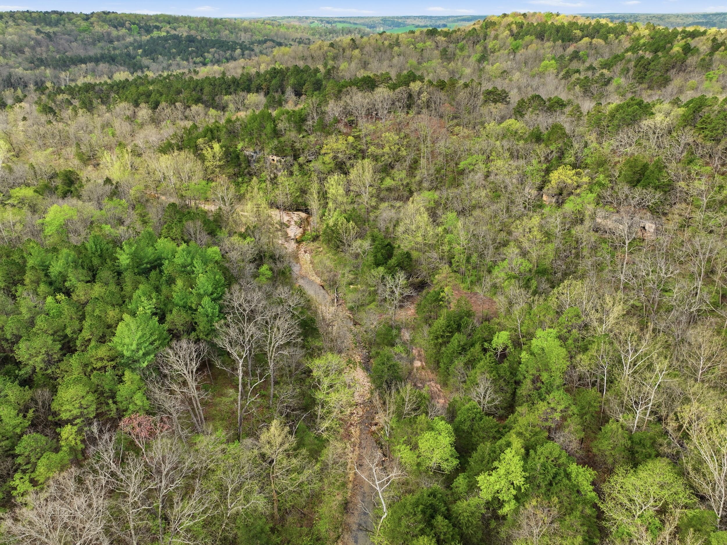 Photo 27 - Land for sale – 000  Highway 32   Licking, MO