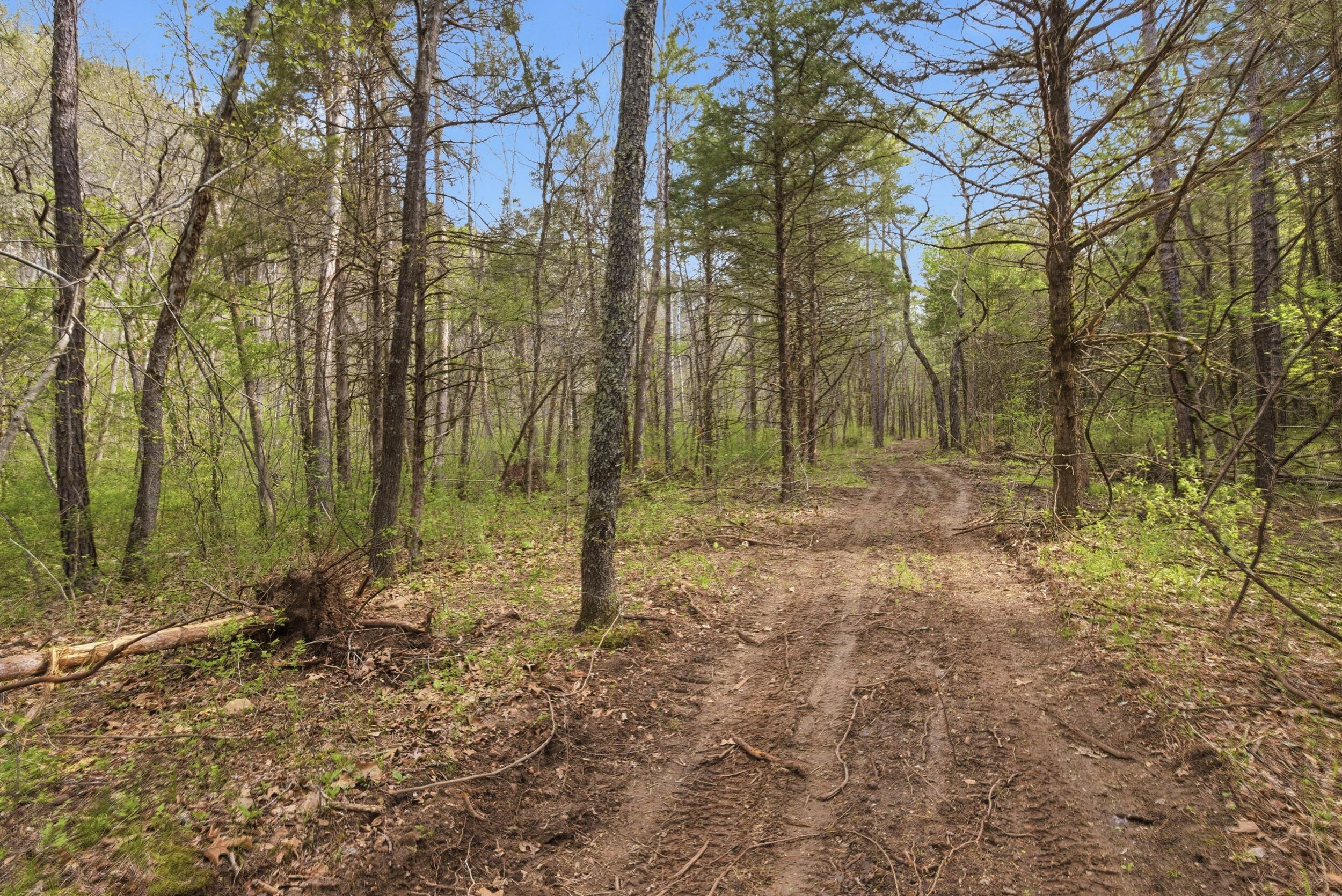 Photo 67 - Land for sale – 000  Highway 32   Licking, MO