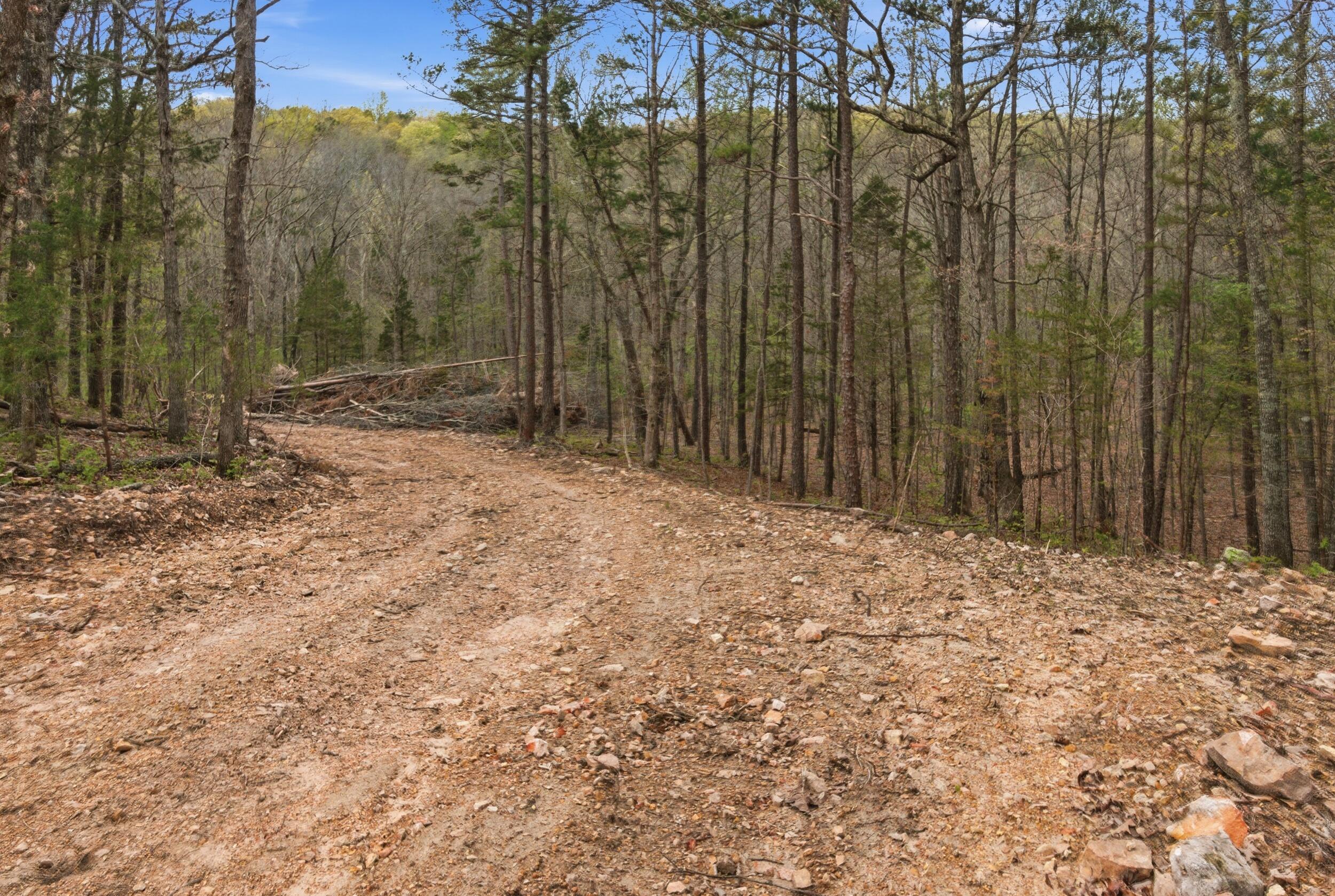 Photo 90 - Land for sale – 000  Highway 32   Licking, MO