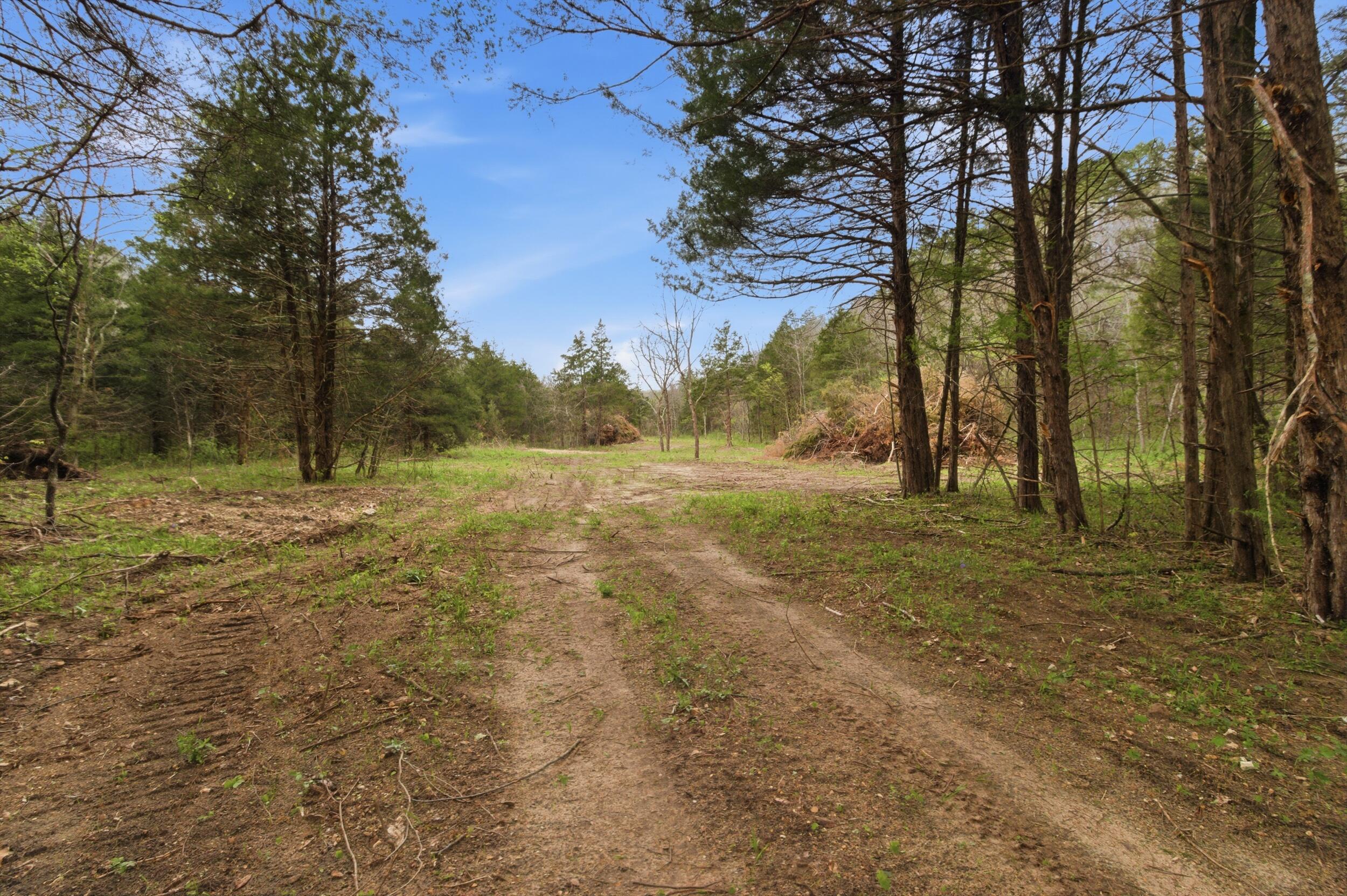Photo 2 - Land for sale – 000  Highway 32   Licking, MO